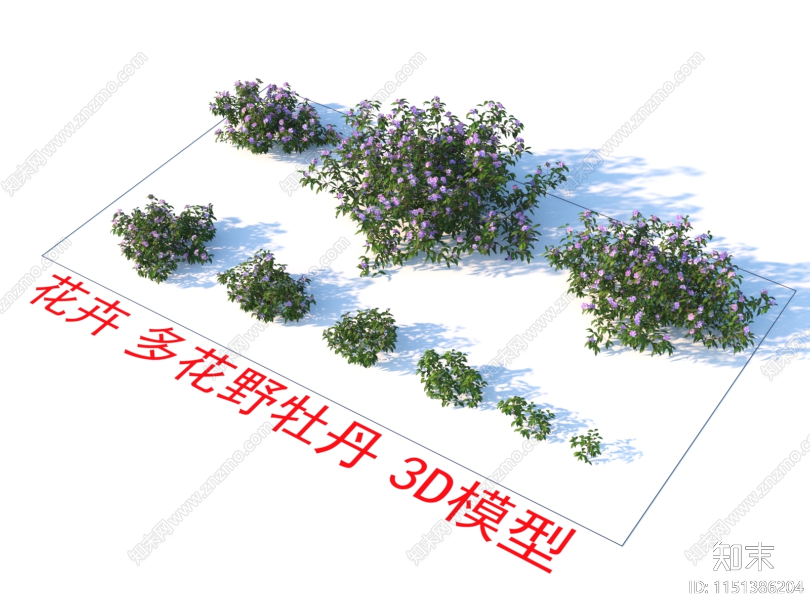 多花野牡丹3D模型下载【ID:1151386204】