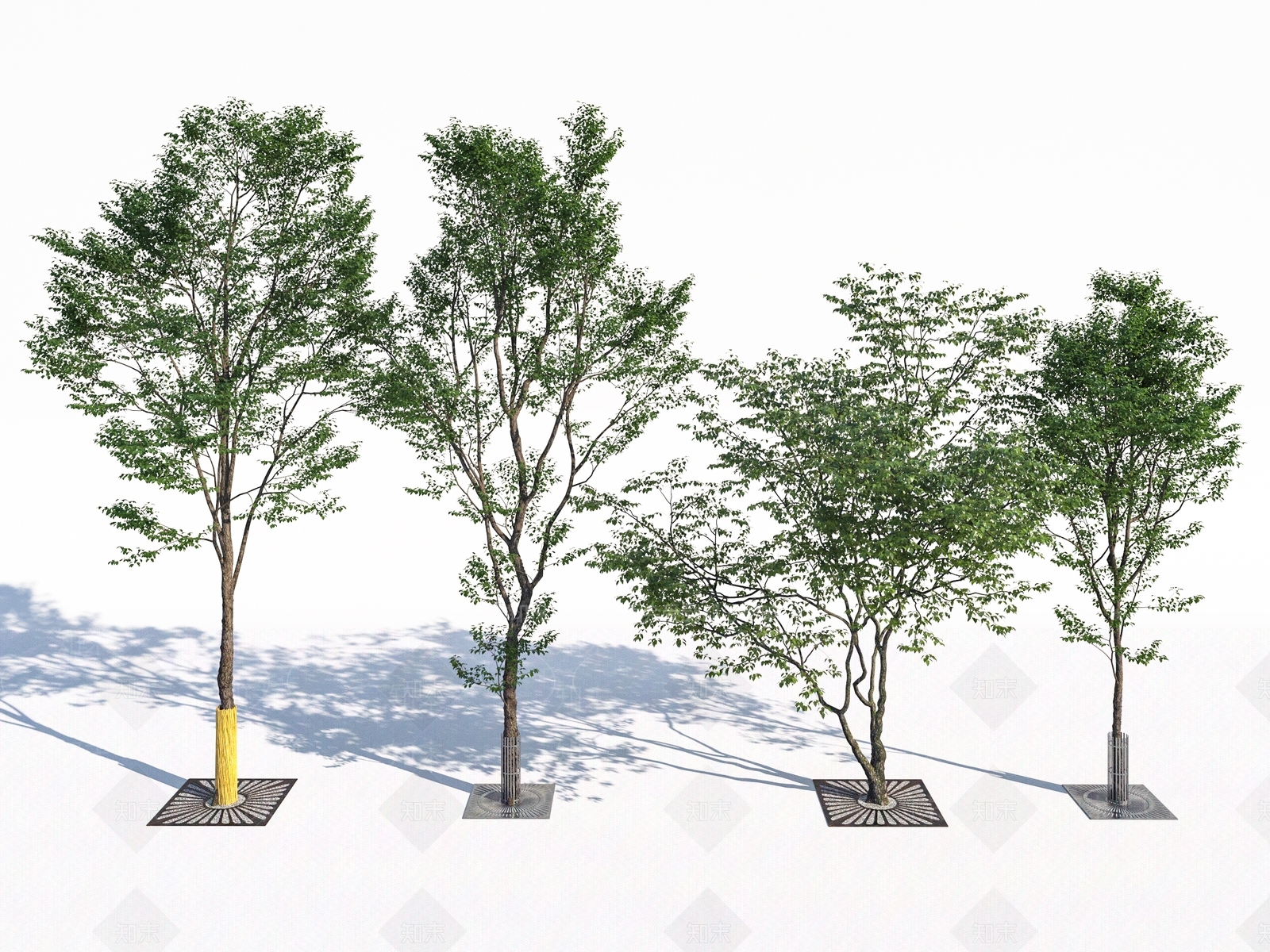 树乔木3D模型下载【ID:1151400439】