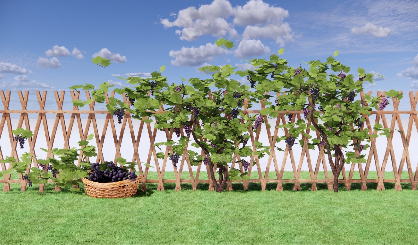 爬藤植物SU模型下载【ID:1151402415】