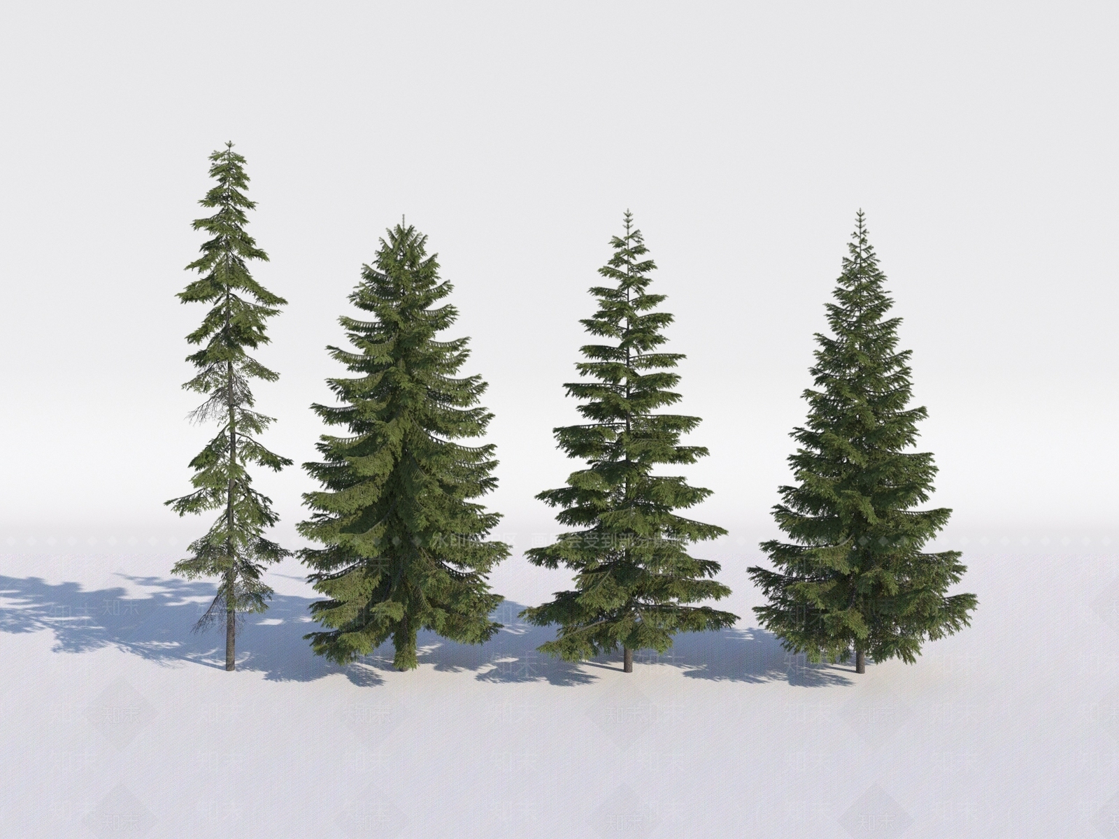 水杉3D模型下载【ID:1151412937】