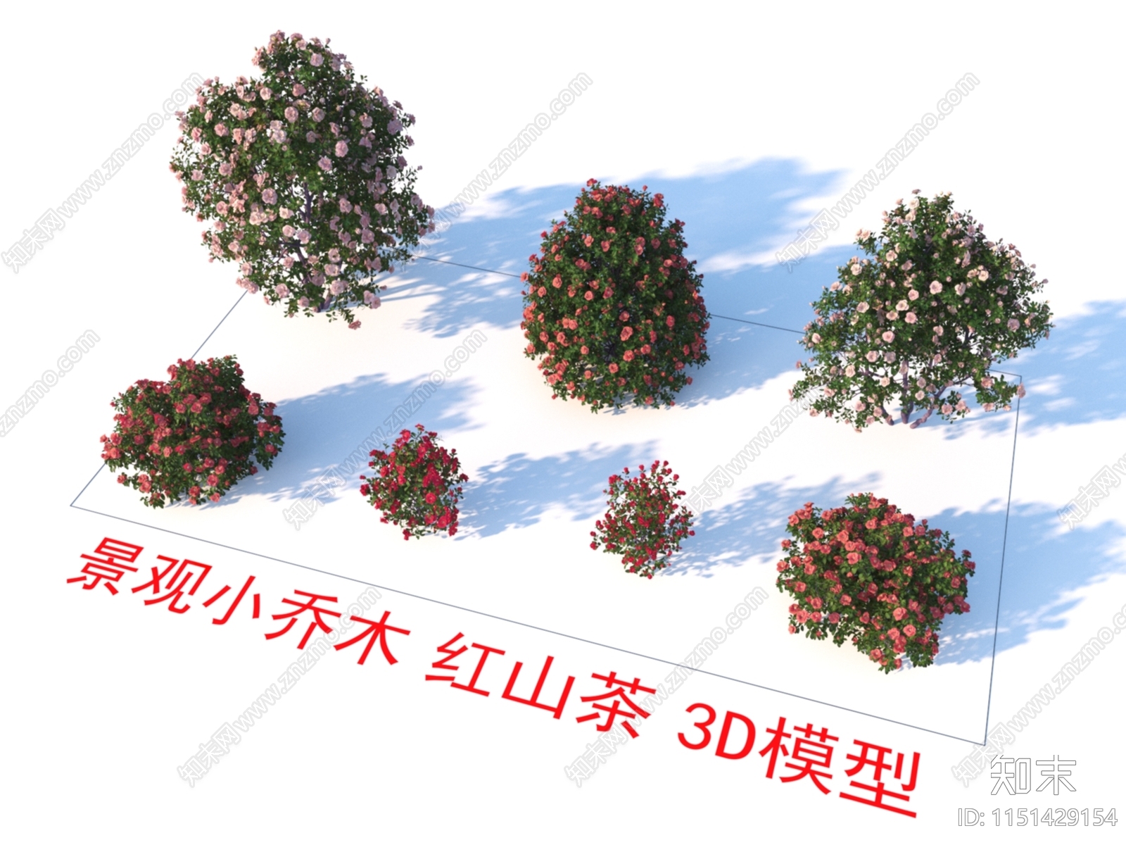 红山茶3D模型下载【ID:1151429154】