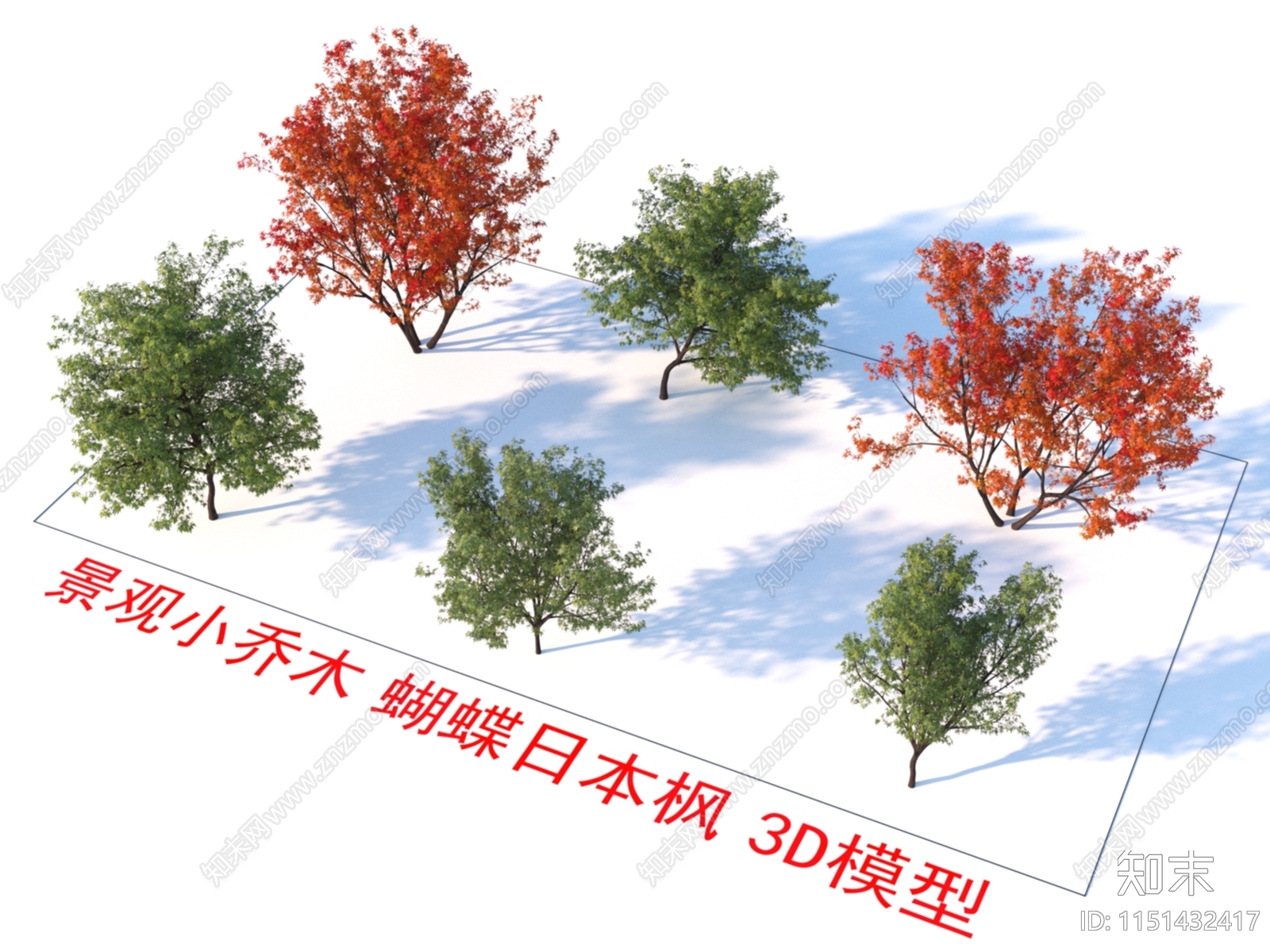 景观小乔木3D模型下载【ID:1151432417】