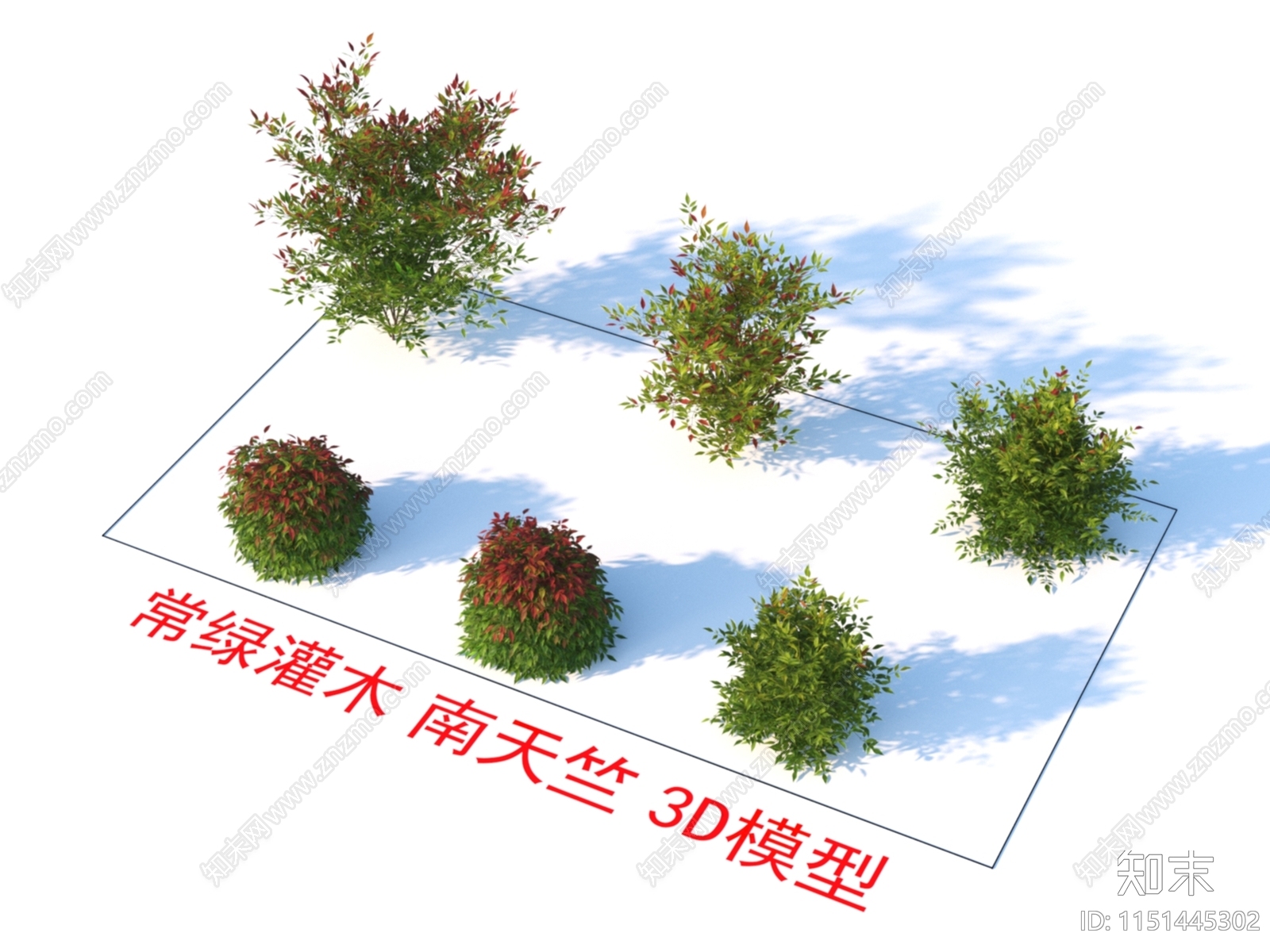 常绿灌木3D模型下载【ID:1151445302】