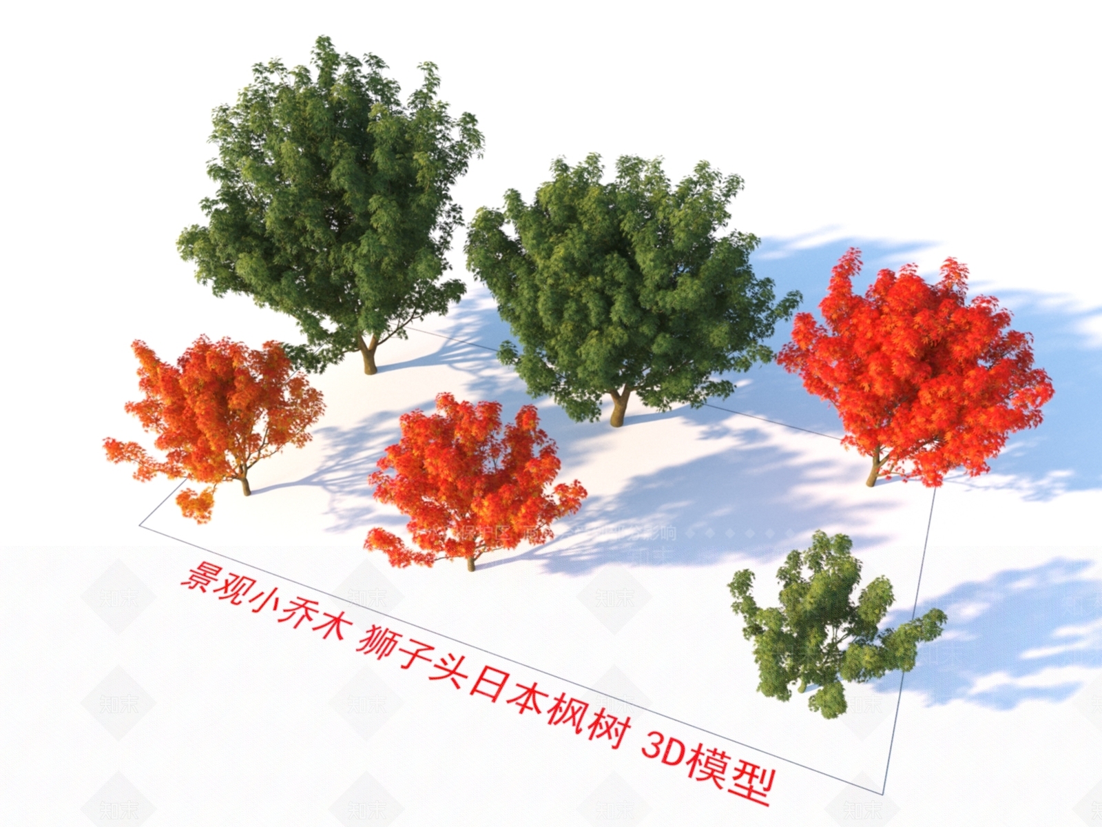 景观小乔木3D模型下载【ID:1151468734】