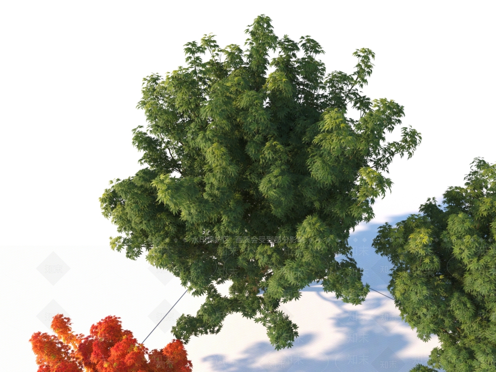 景观小乔木3D模型下载【ID:1151468734】