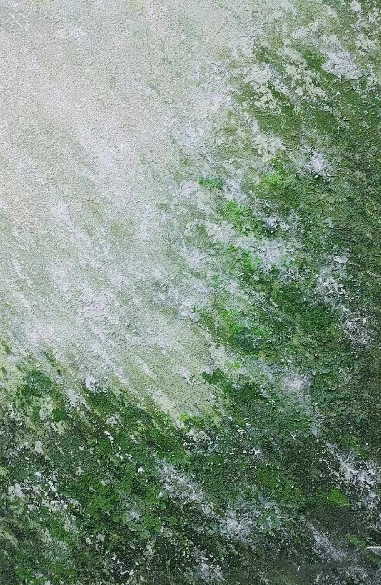 绿植墙高清贴图材质