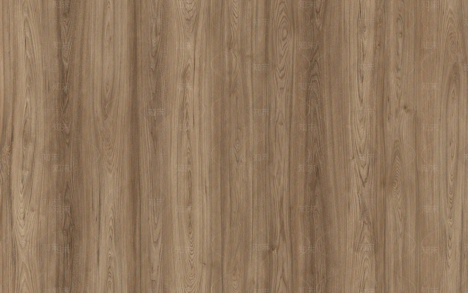 无缝相思榆木木纹贴图下载【ID:1151516116】