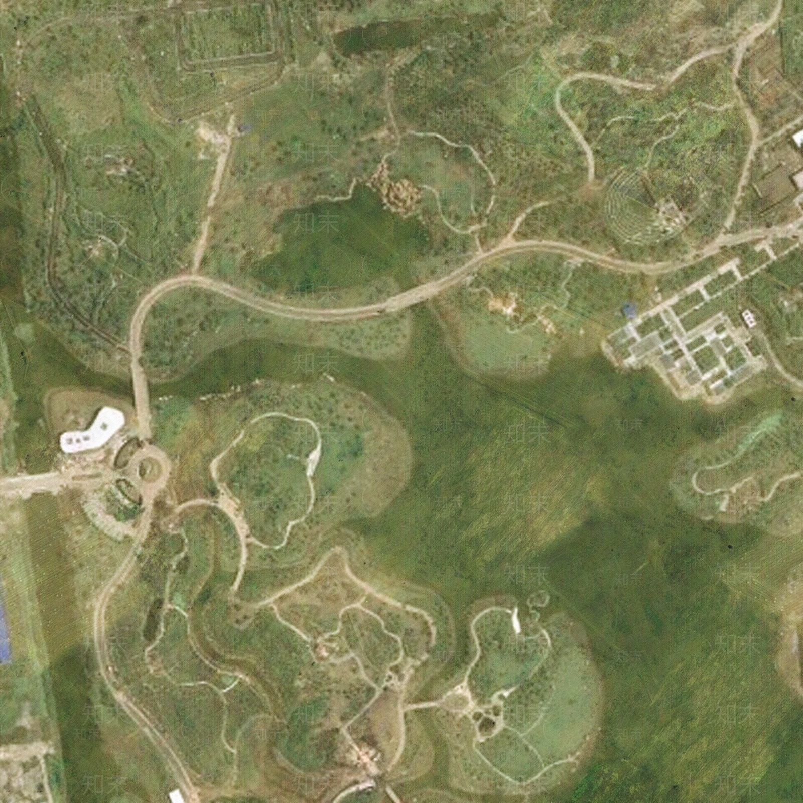 现代农田航拍外景卫星图田野草地树林草地贴图下载【ID:1151519234】