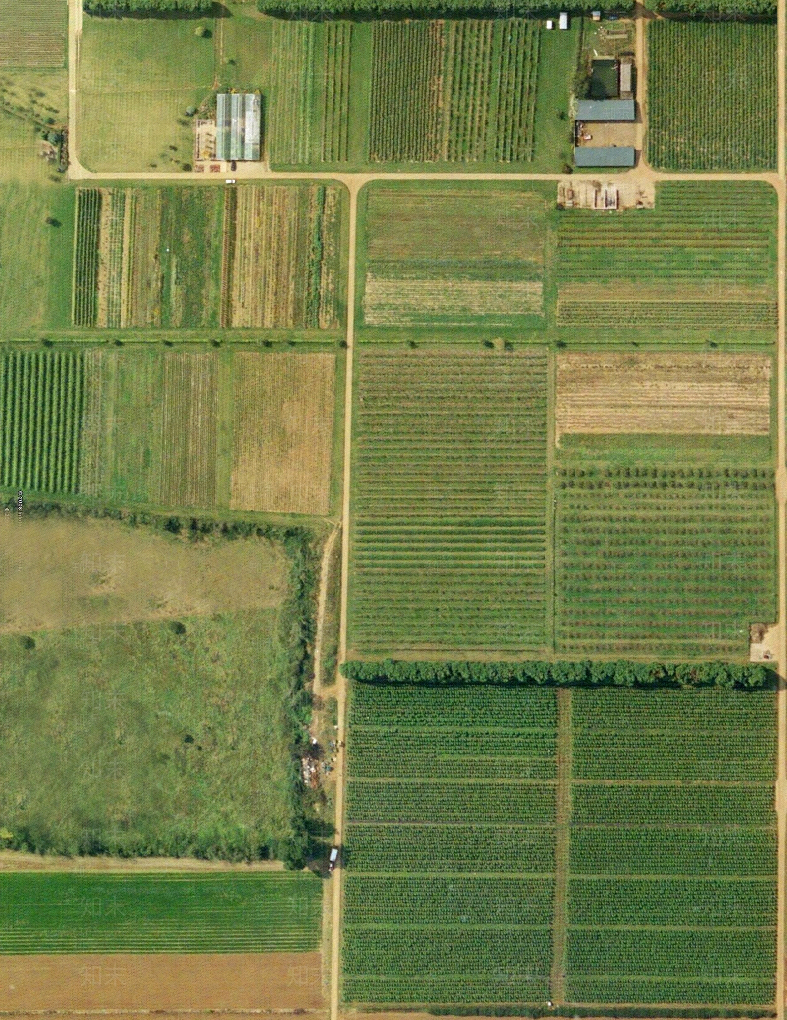 现代农田外景卫星图田野草地树林草地贴图下载【ID:1151521019】