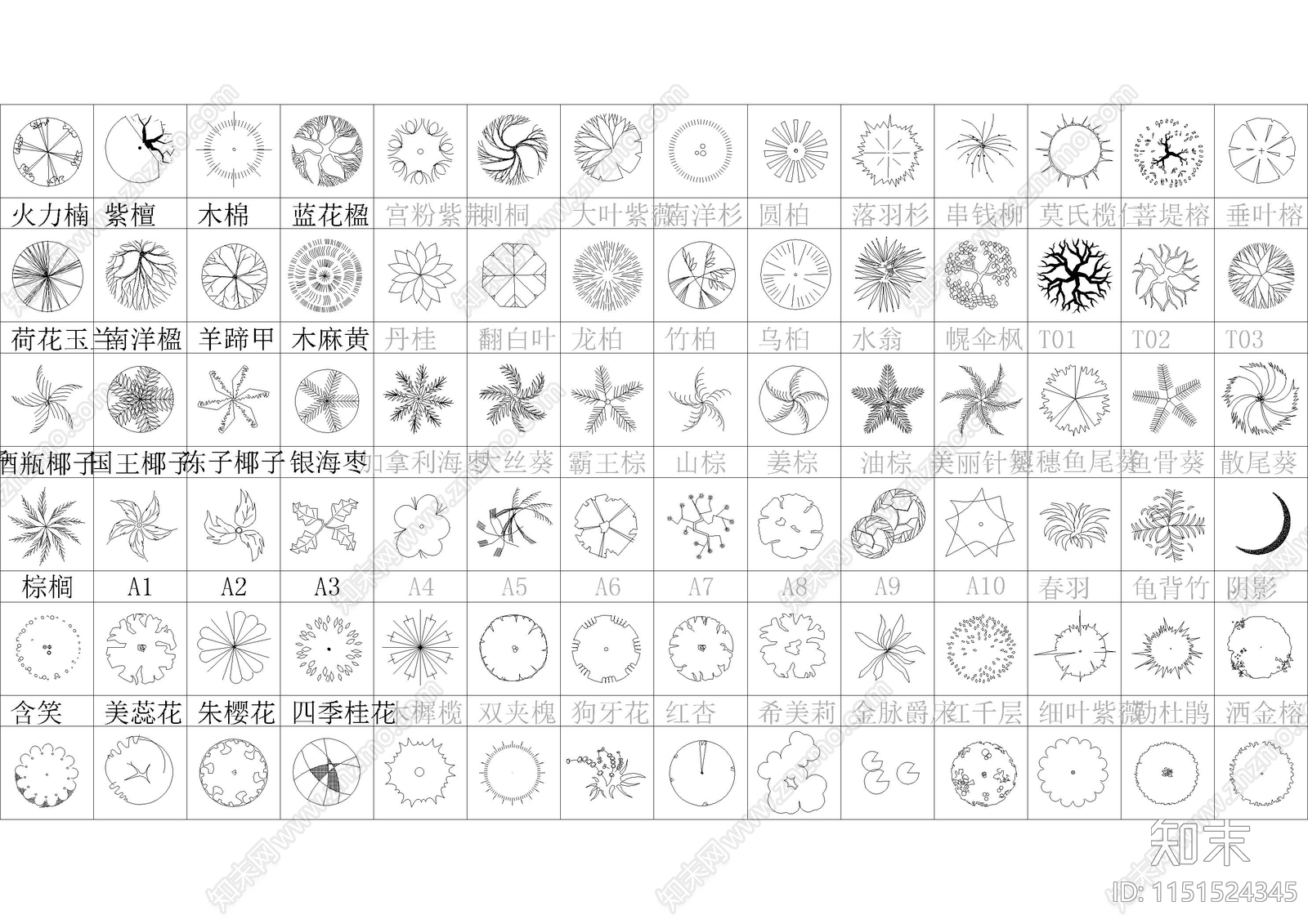 2024景观绿化植物超全图库cad施工图下载【ID:1151524345】