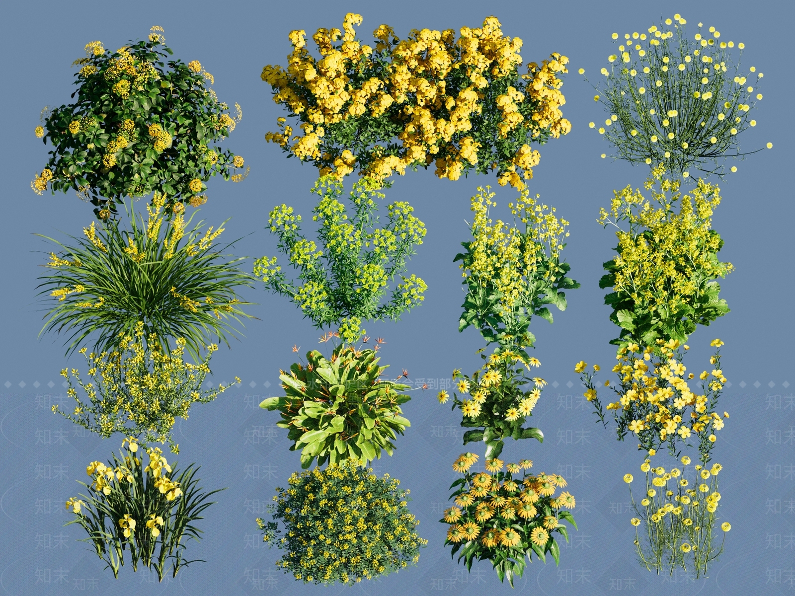 黄花灌木地被SU模型下载【ID:1151602979】