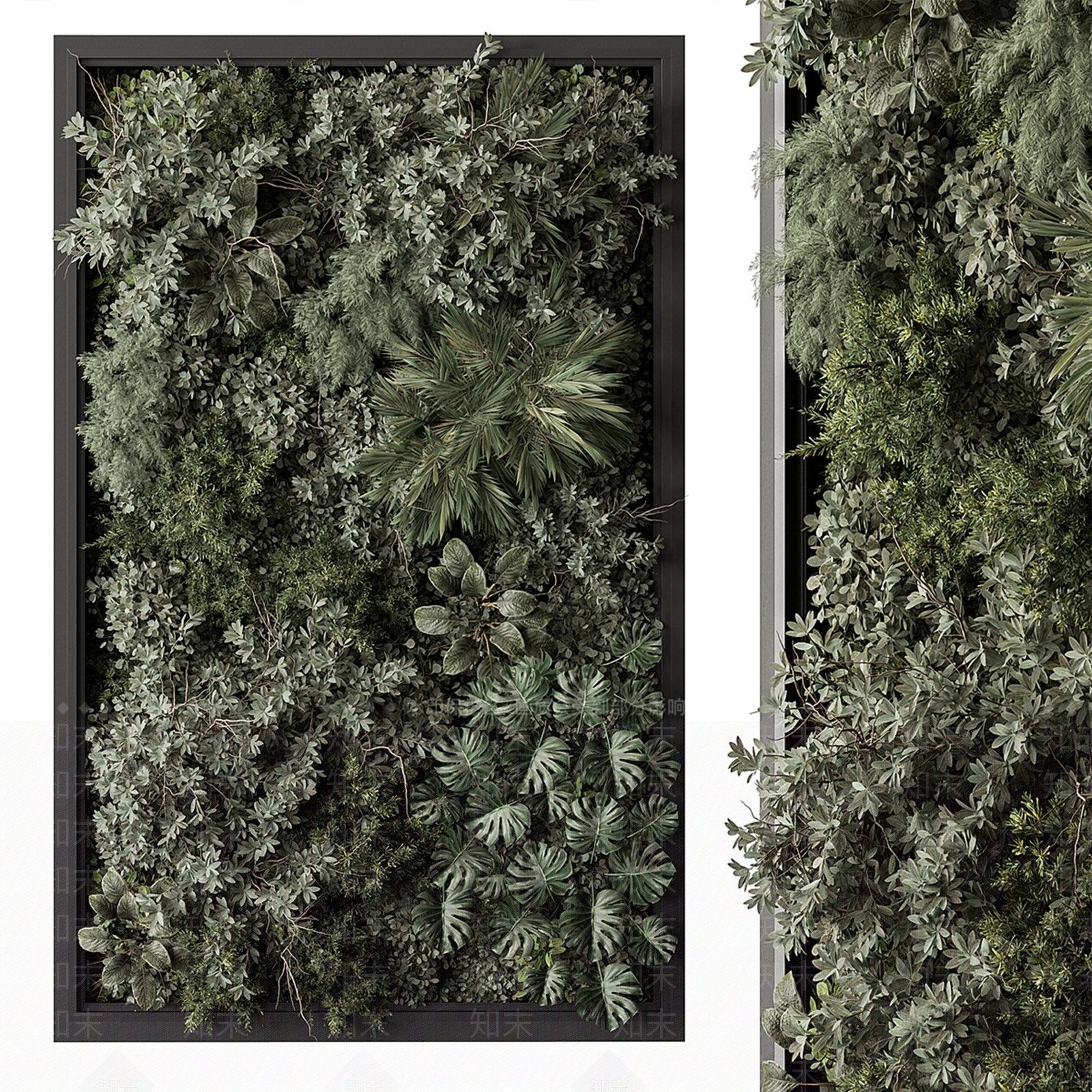 植物墙3D模型下载【ID:1151634732】