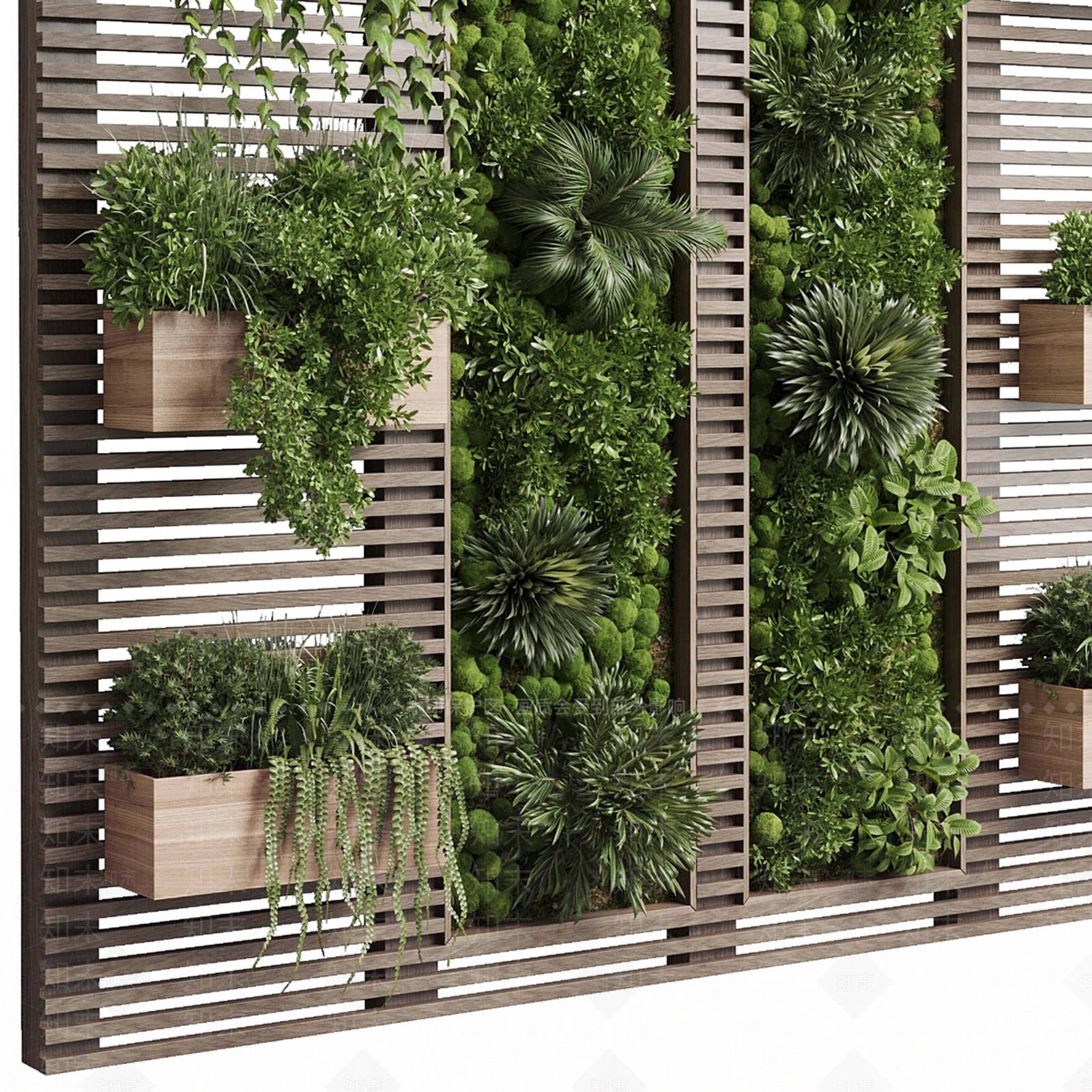 现代植物墙3D模型下载【ID:1151639458】