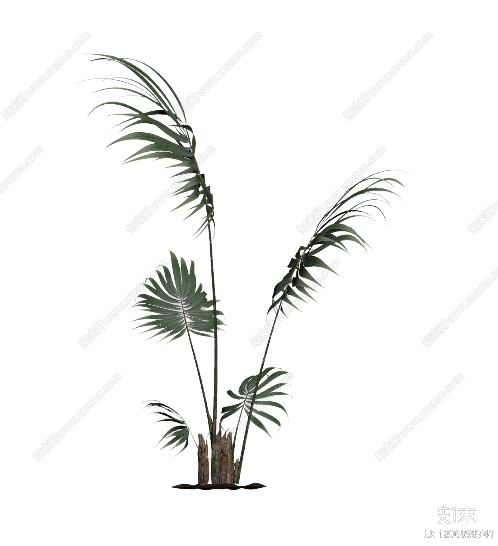 盆栽棕榈植物3D模型下载【ID:1206898741】