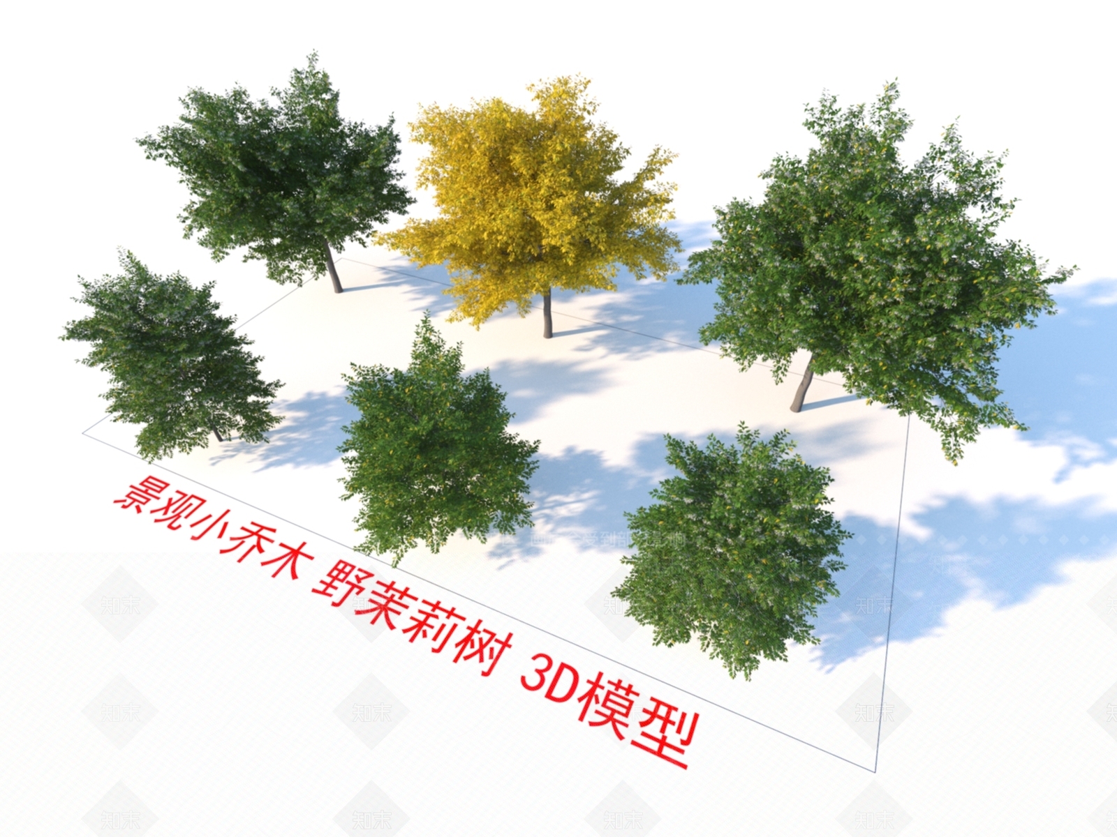 景观小乔木3D模型下载【ID:1151661981】