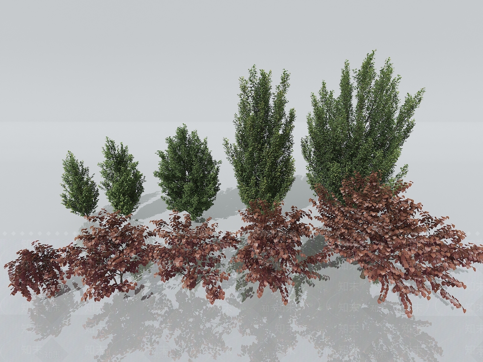 杨树3D模型下载【ID:1151663992】