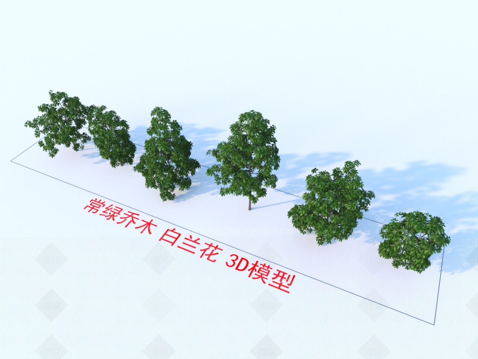常绿乔木3D模型下载【ID:1151676010】