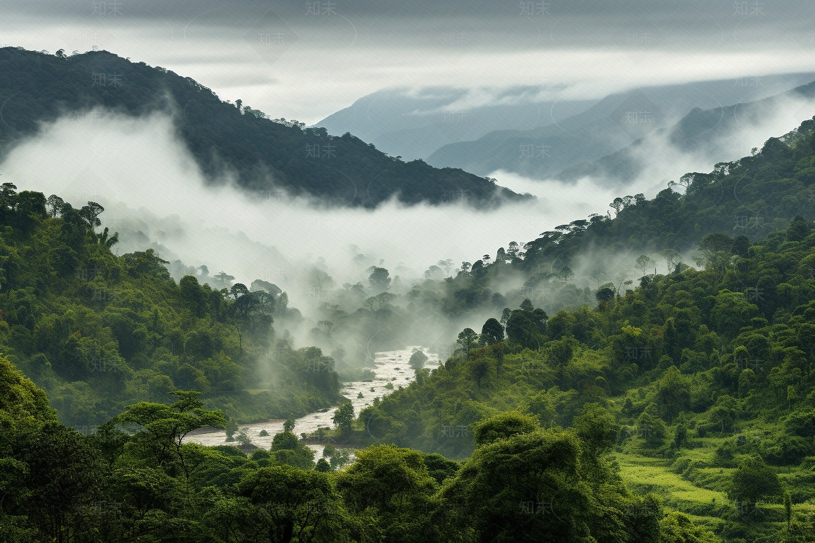热带雨林风景贴图下载【ID:1151683271】
