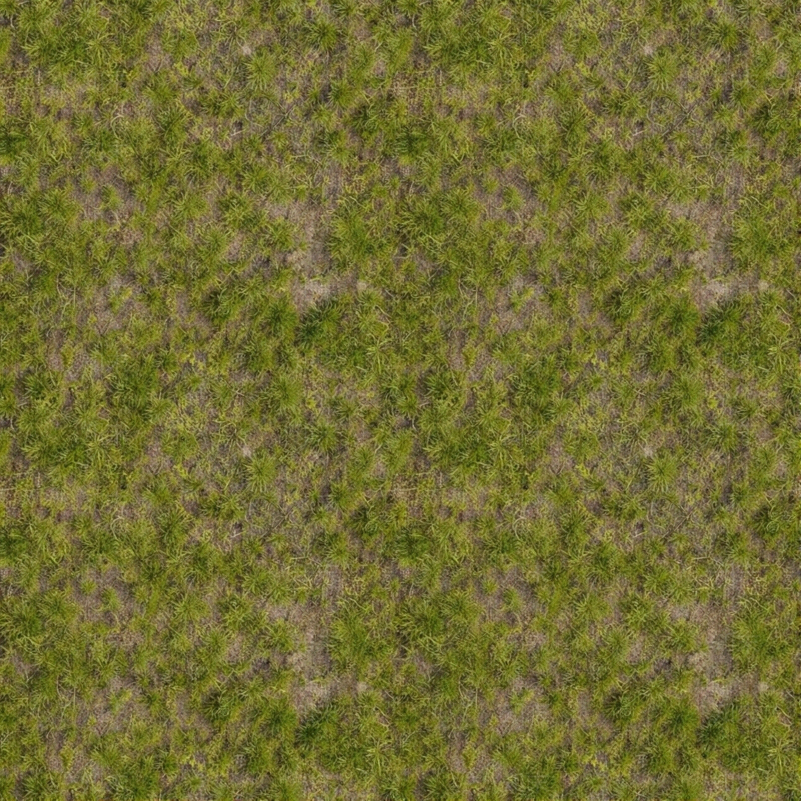 无缝自然草地草皮草坪贴图下载【ID:1195386886】