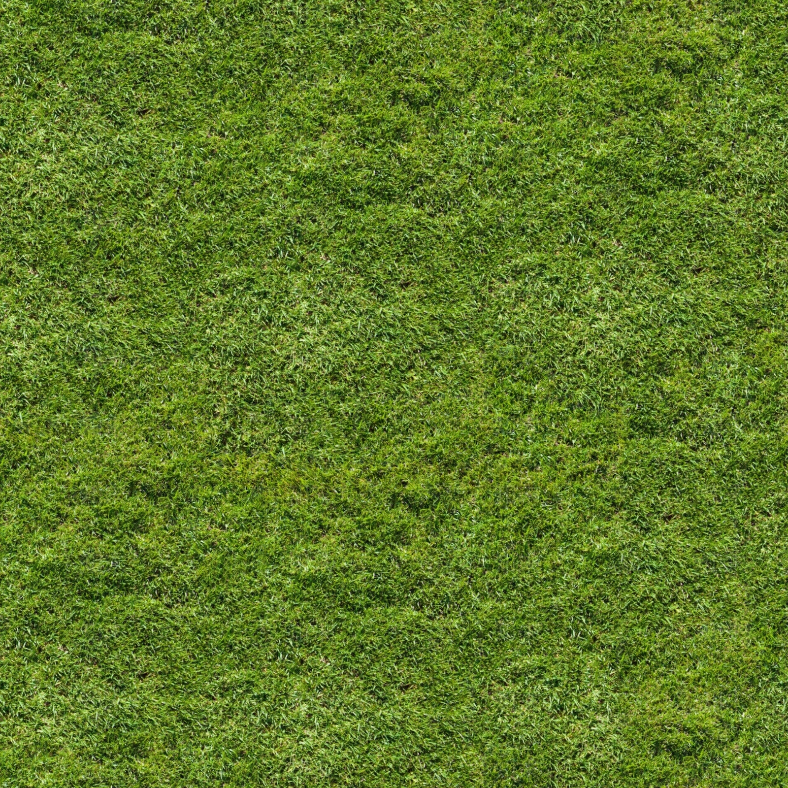 无缝自然草地草皮草坪贴图下载【ID:1151693899】