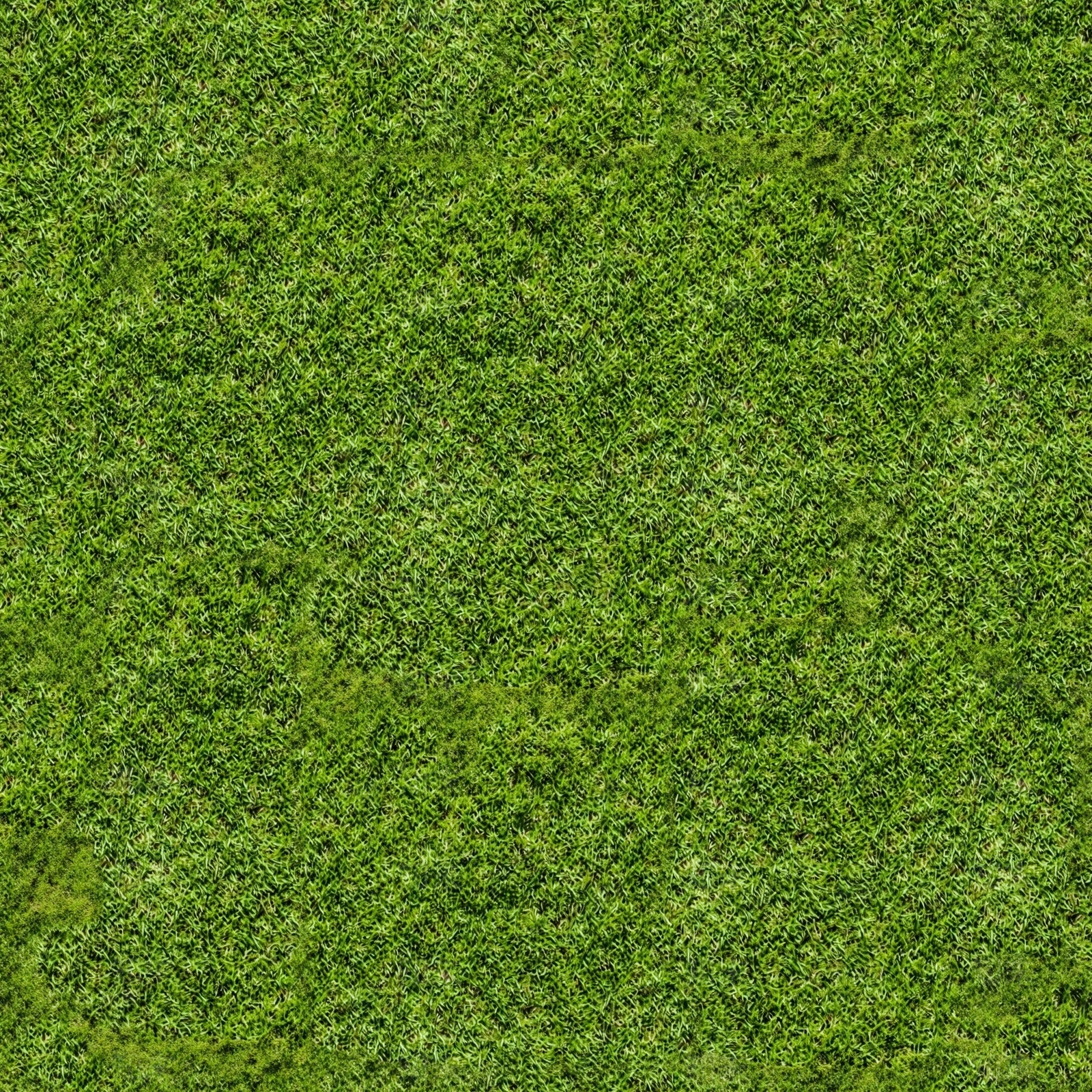 无缝自然草地草皮草坪贴图下载【ID:1195386848】