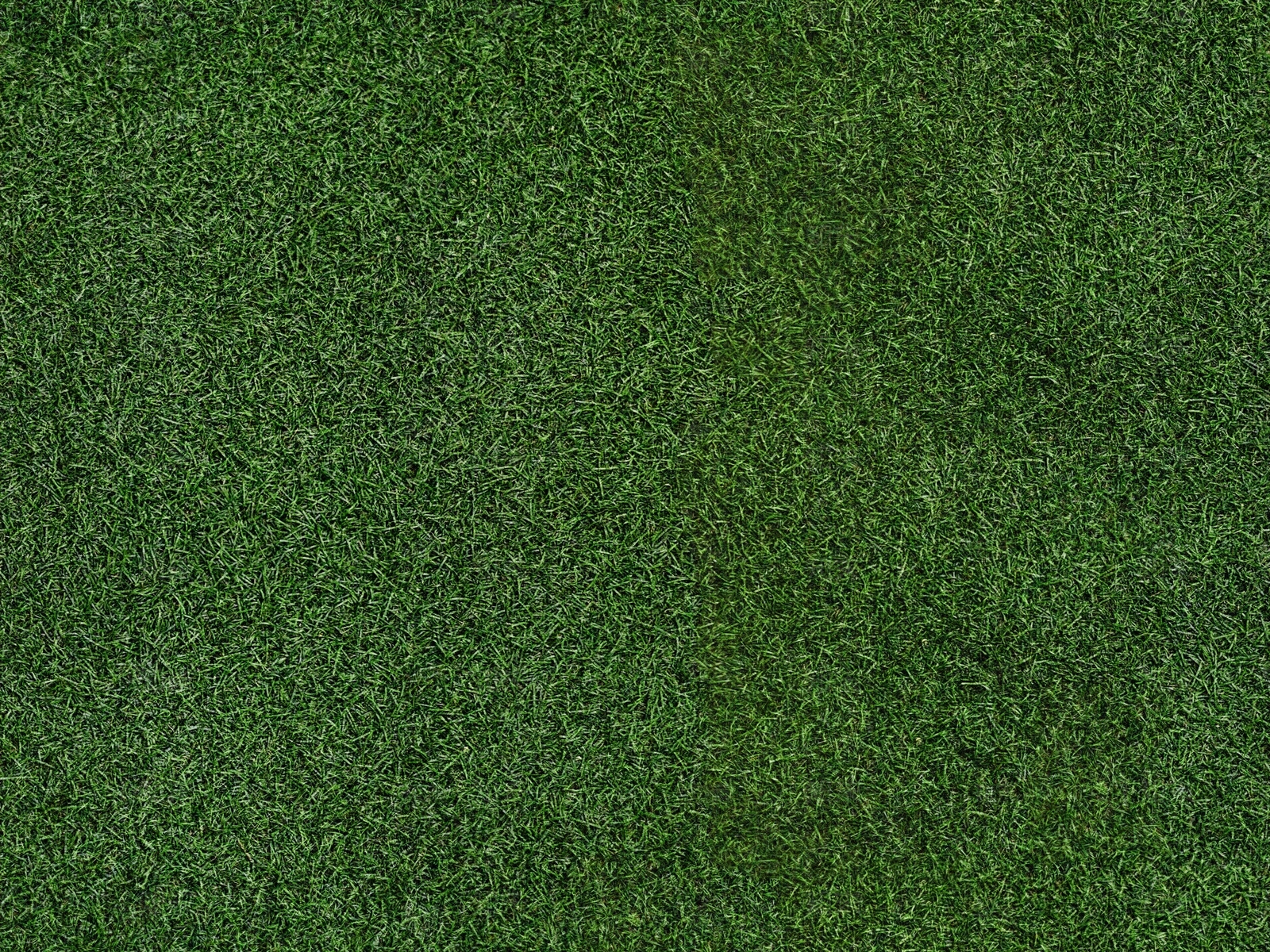 无缝自然草地草皮草坪纹理贴图下载【ID:1151697577】