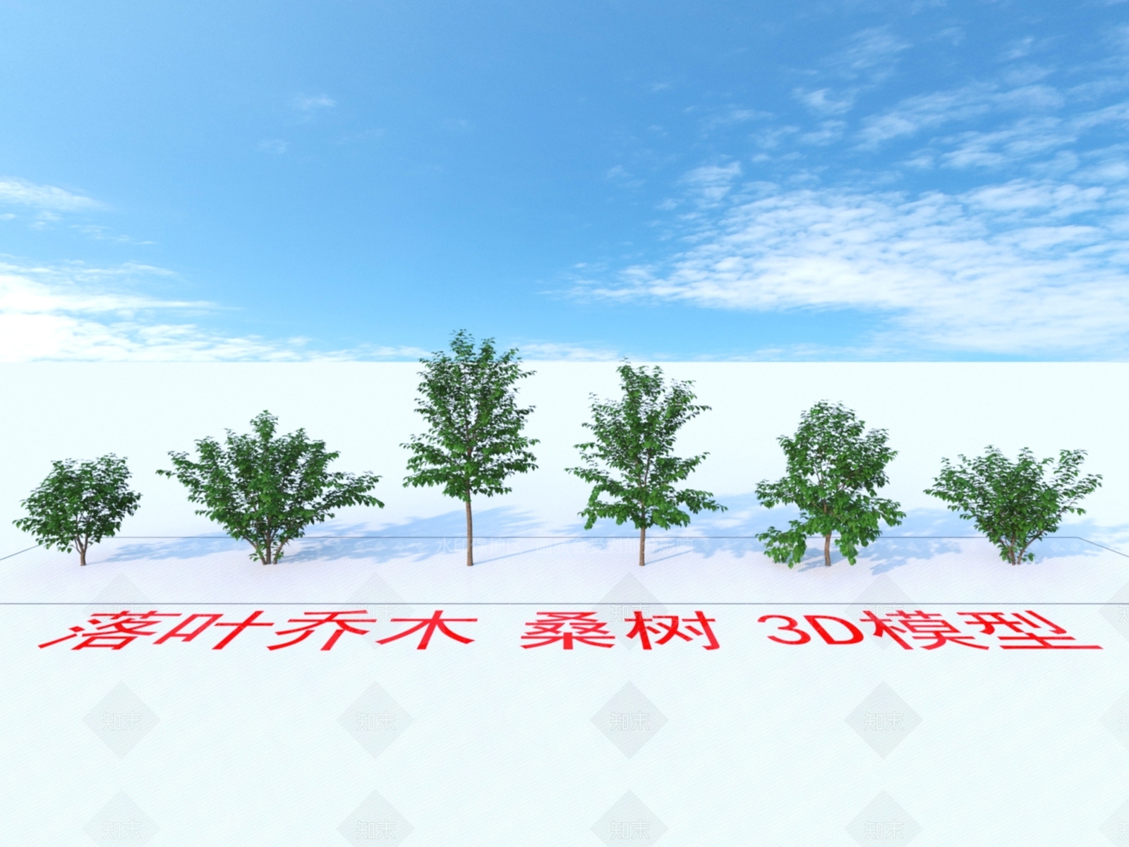 落叶乔木3D模型下载【ID:1151742936】