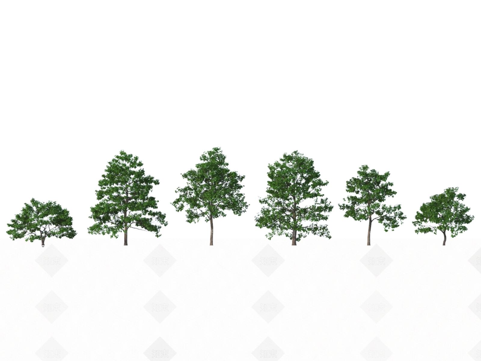 落叶乔木3D模型下载【ID:1151750060】