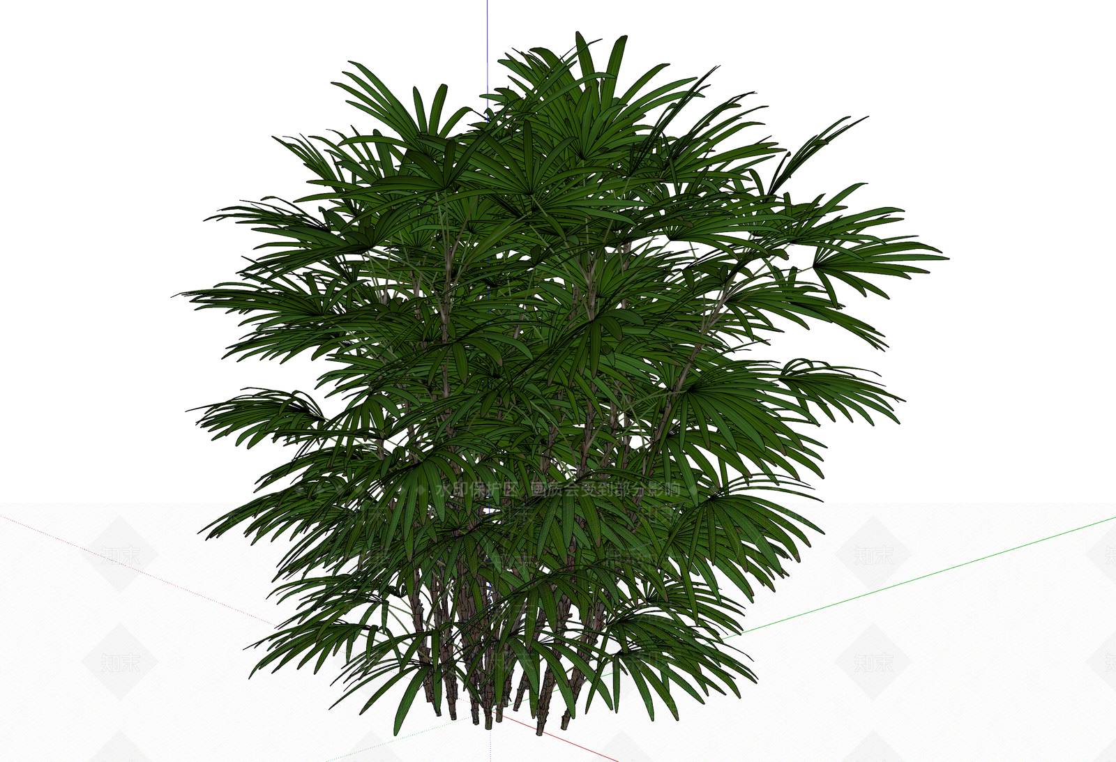 棕竹SU模型下载【ID:1151764443】
