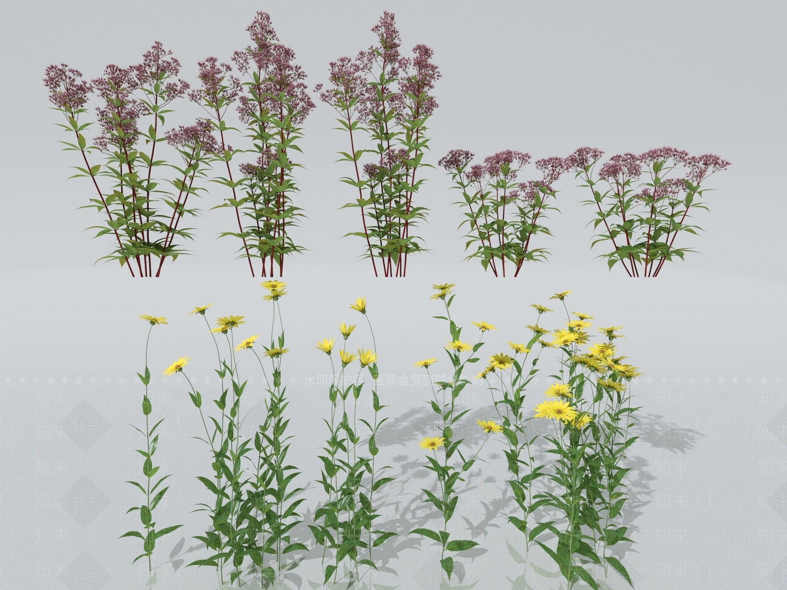 花卉植物3D模型下载【ID:1151779603】