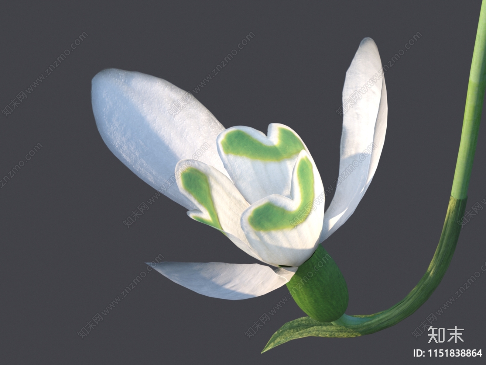 花3D模型下载【ID:1151838864】