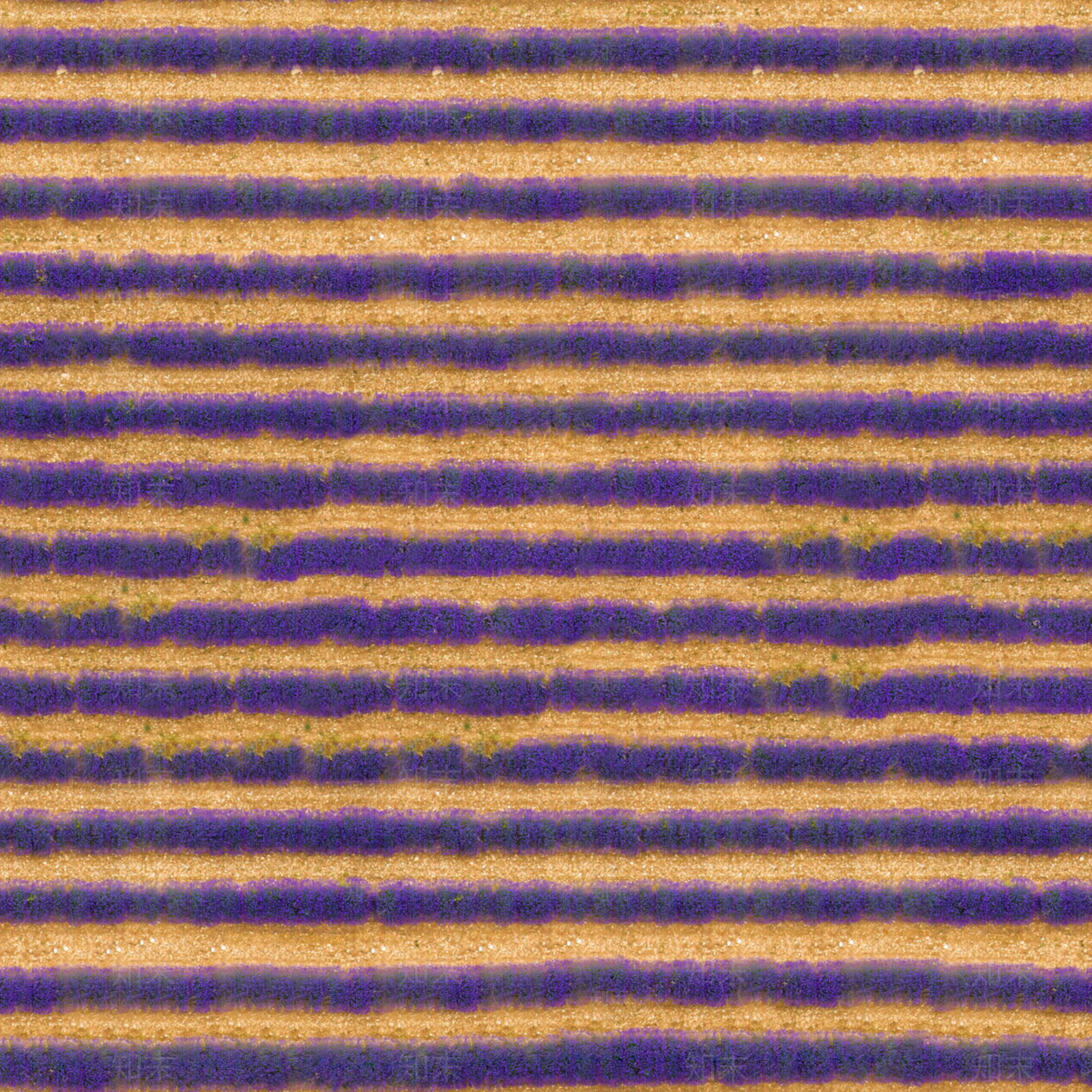 无缝薰衣草花田花海俯视图贴图下载【ID:1151840414】