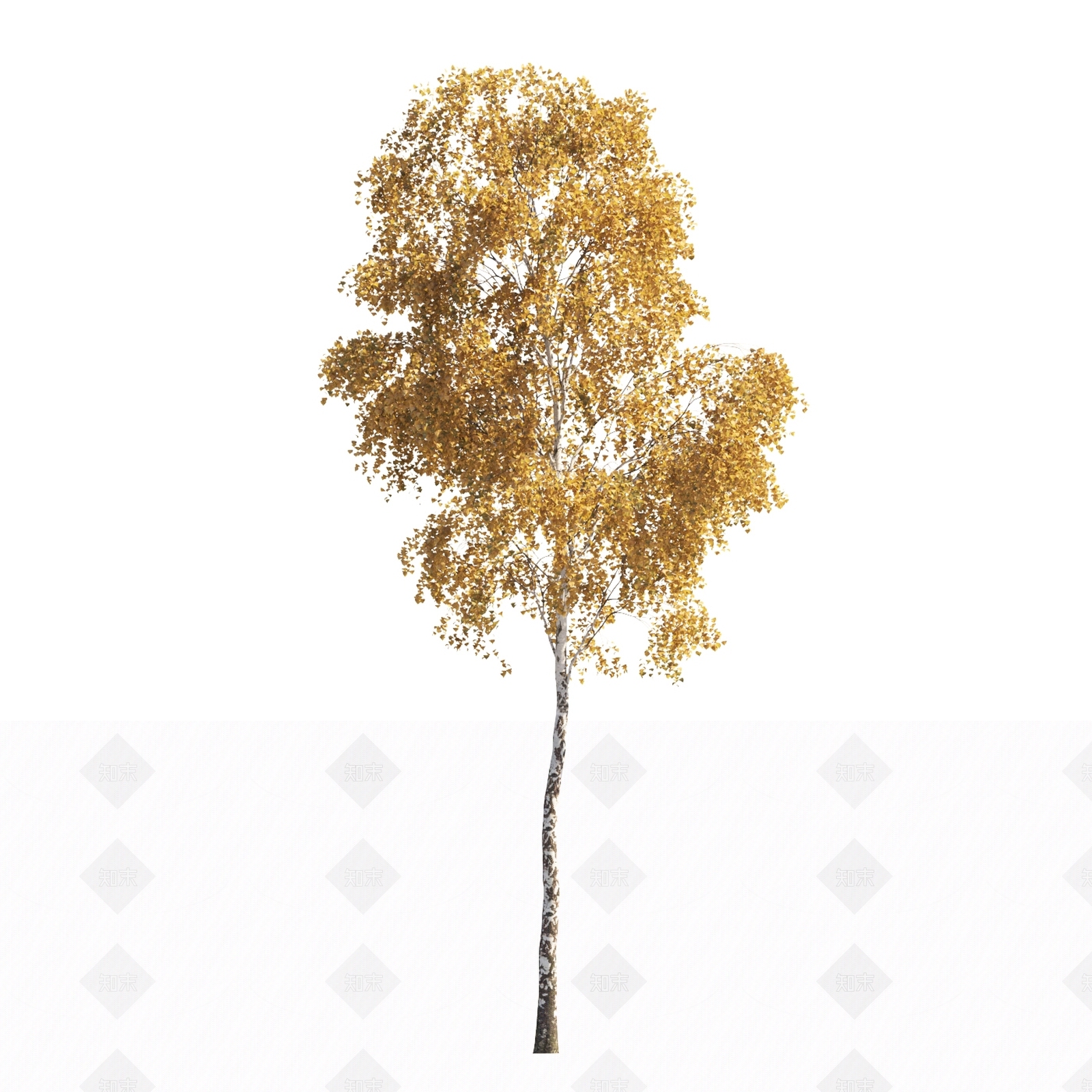 树景观植物乔木落叶树秋天树彩色树黄叶树景观树造型树银杏3D模型下载【ID:1151846826】