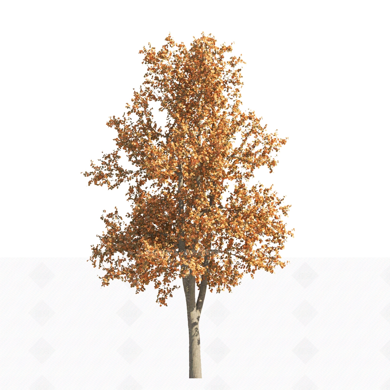 景观树庭院树造型树景观植物落叶树3D模型下载【ID:1151851393】