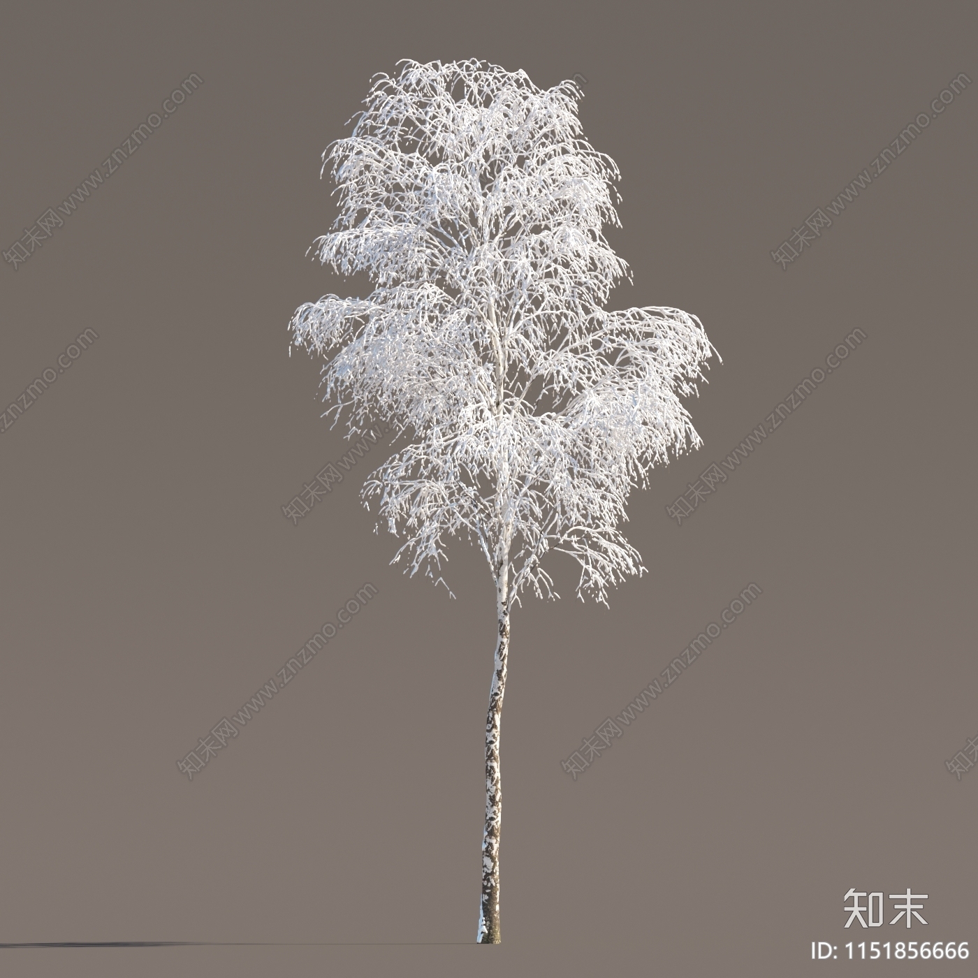 冬季雪景植物3D模型下载【ID:1151856666】