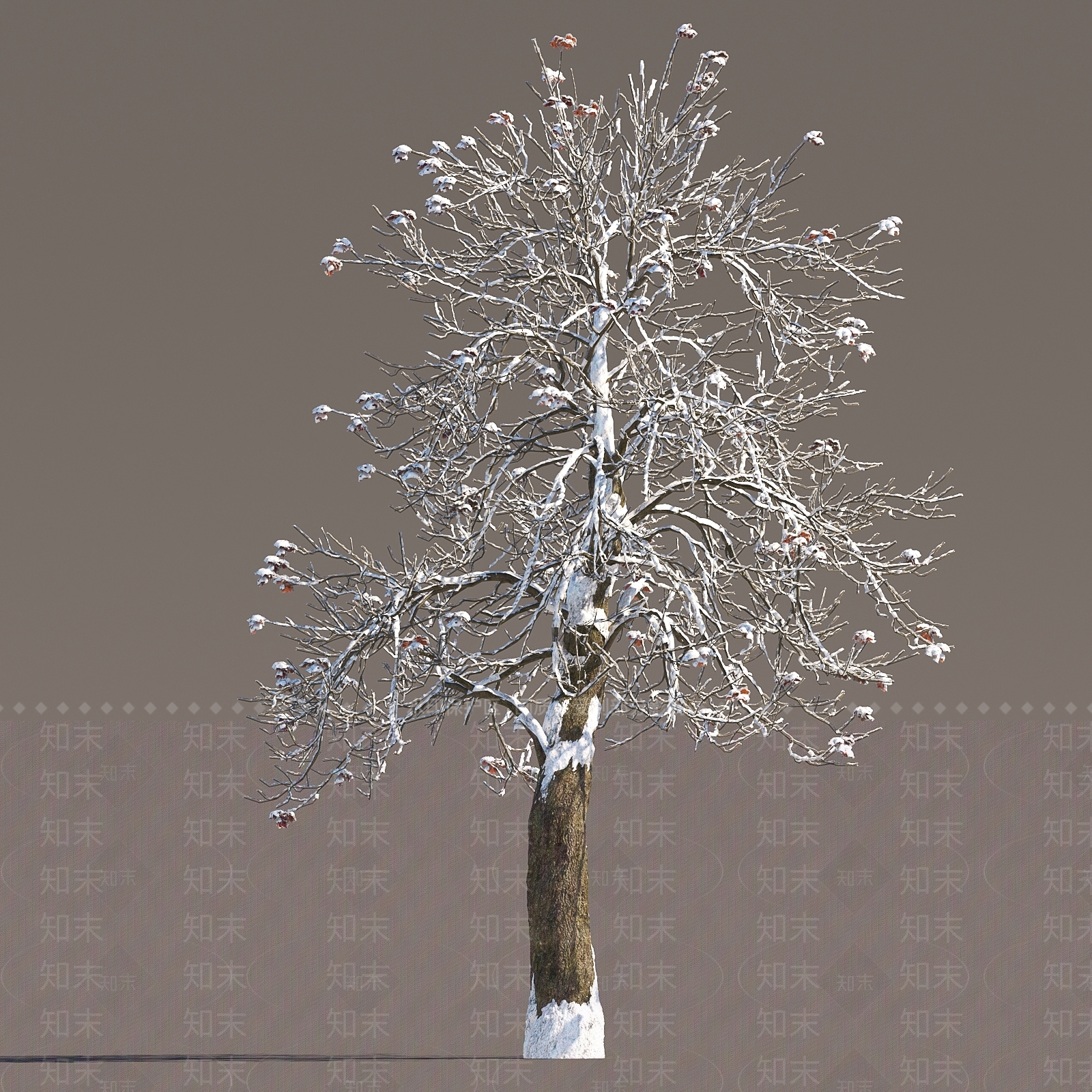 冬季雪景树3D模型下载【ID:1151858057】