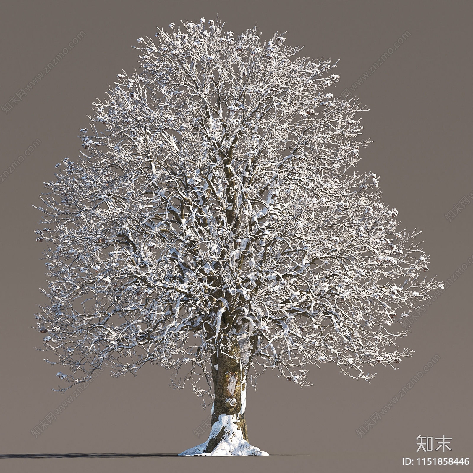 冬季雪景树3D模型下载【ID:1151858446】