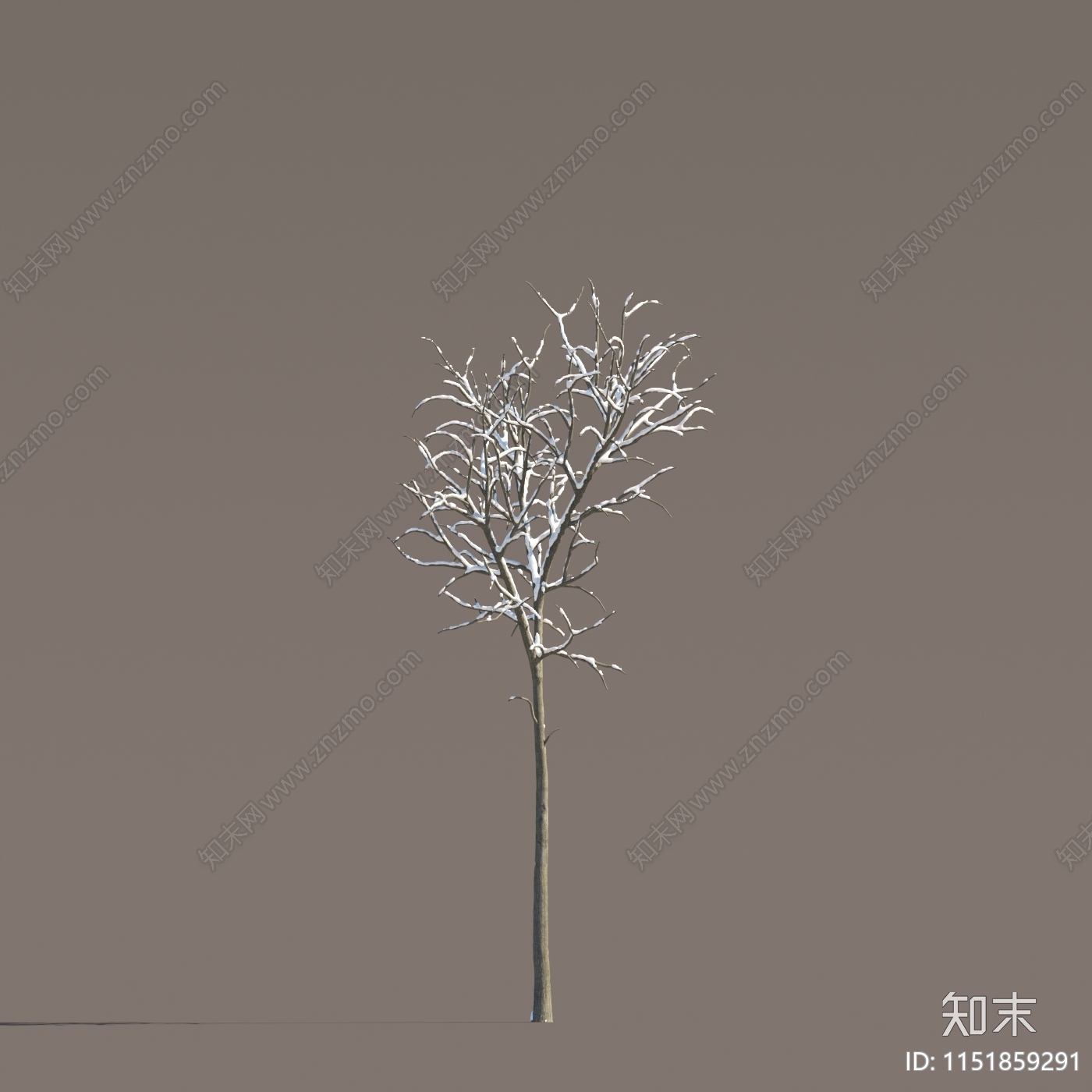 冬季雪景树3D模型下载【ID:1151859291】