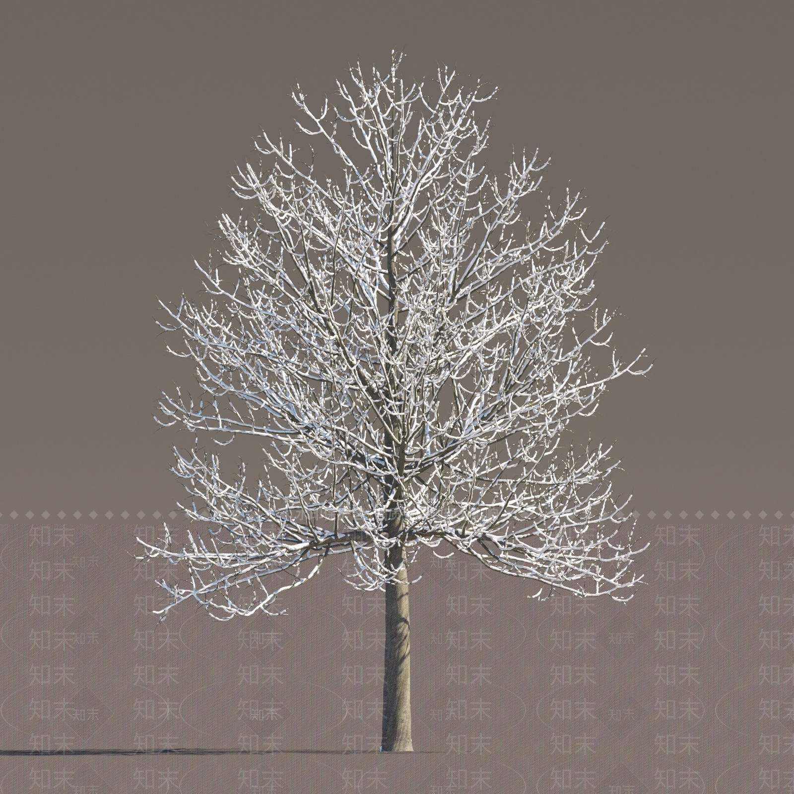 现代树木3D模型下载【ID:1151859522】