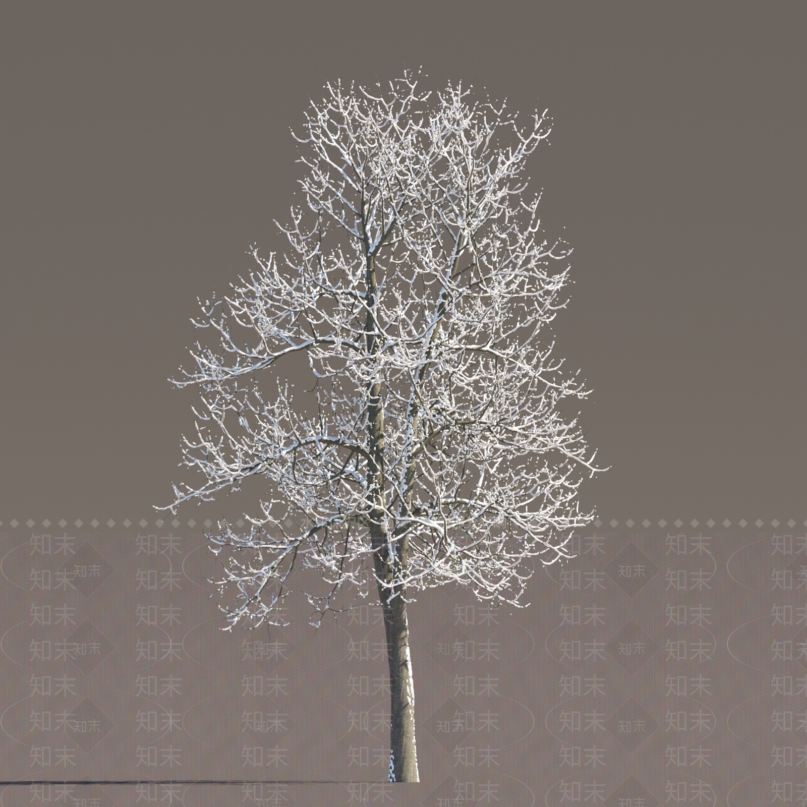 现代树木3D模型下载【ID:1151859603】