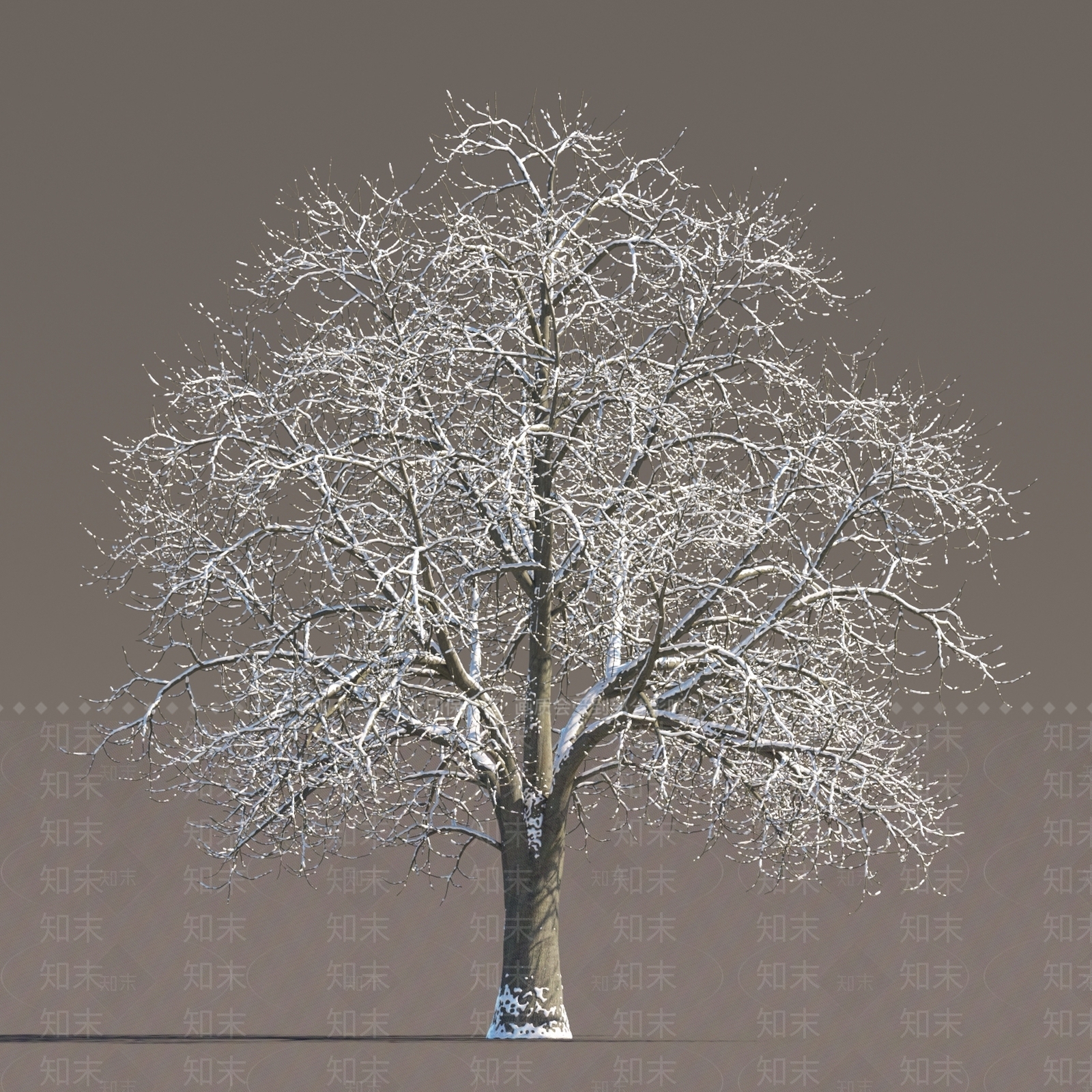 现代雪景树冬天树3D模型下载【ID:1151860027】