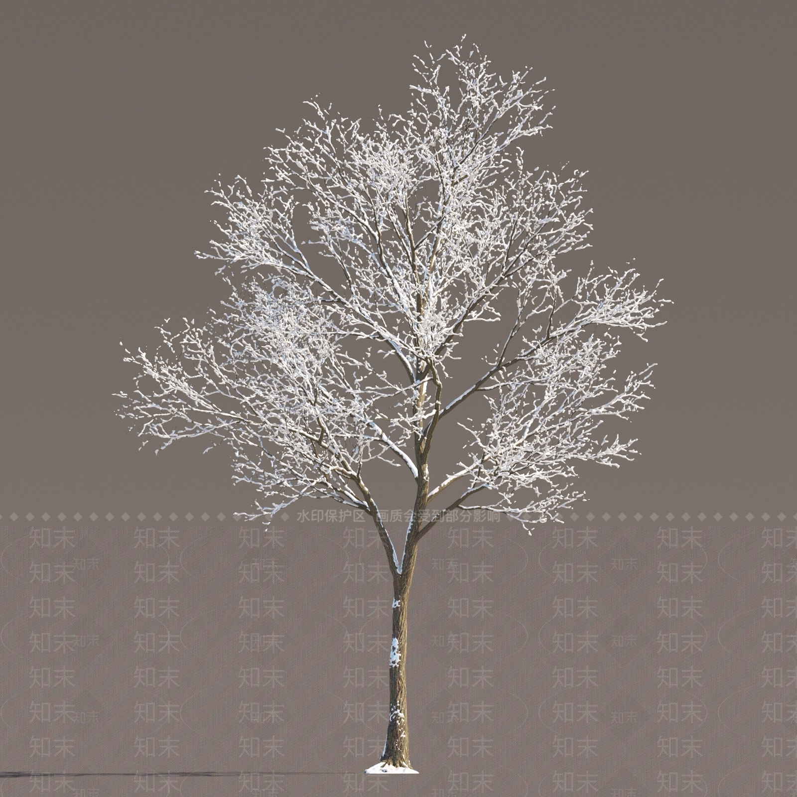 冬季雪景植物3D模型下载【ID:1151862107】