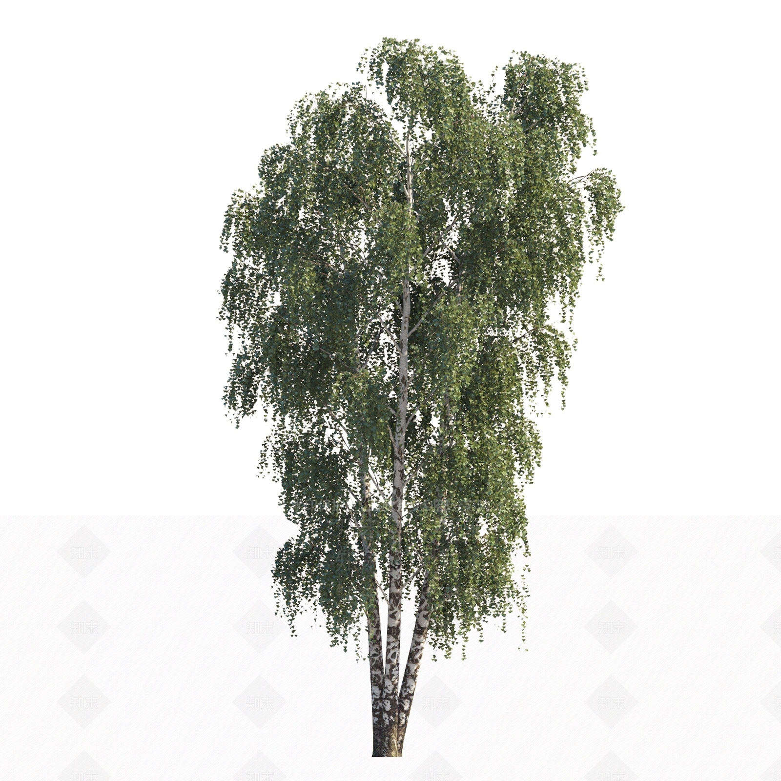 现代乔木景观树3D模型下载【ID:1151863926】
