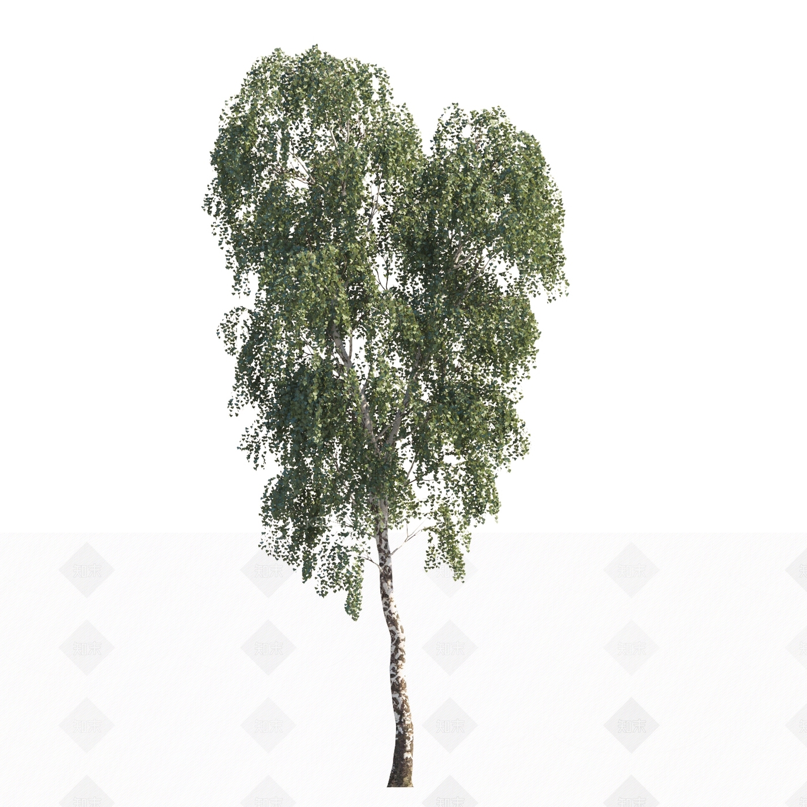 现代植物乔木庭院树3D模型下载【ID:1151864066】