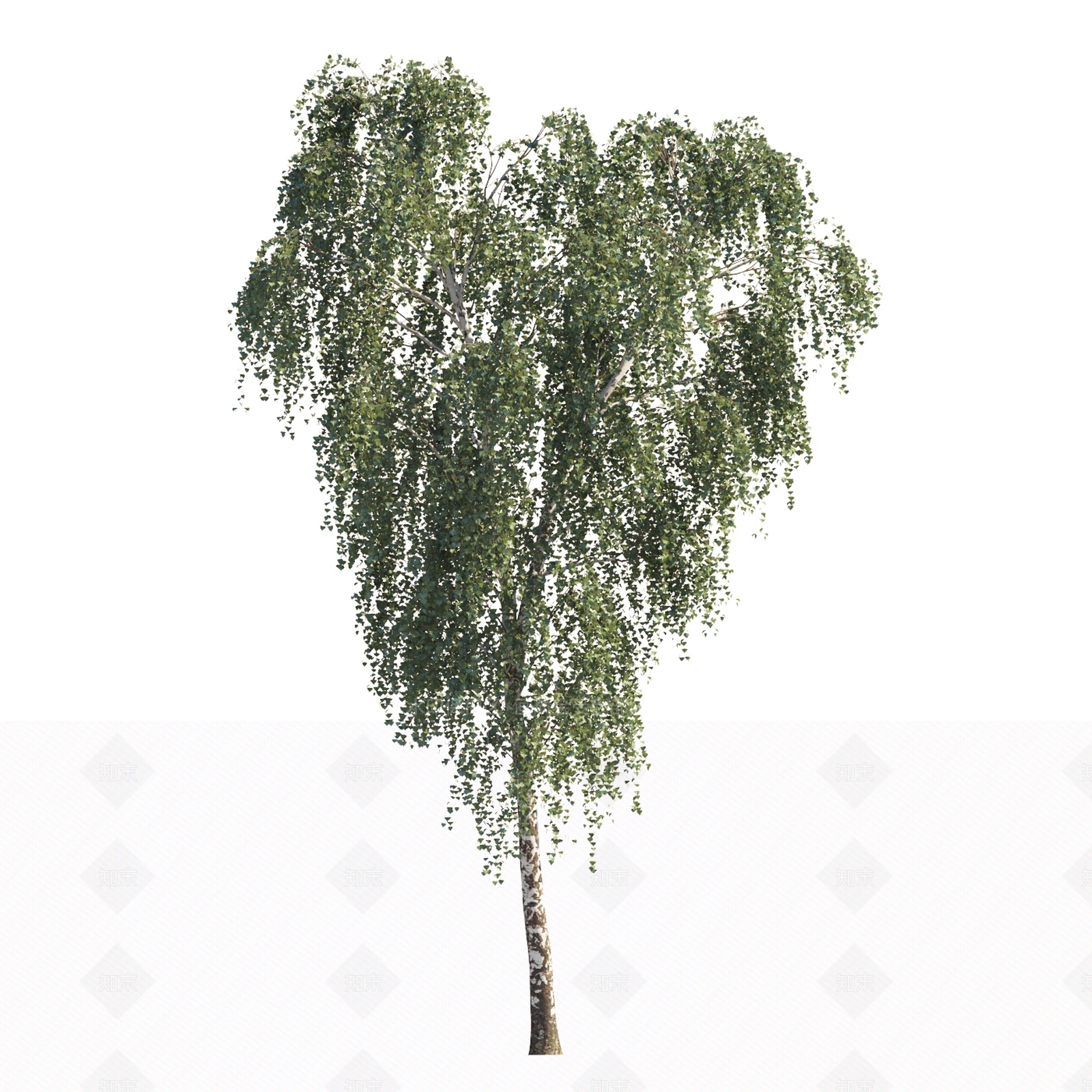 现代植物乔木3D模型下载【ID:1151864379】