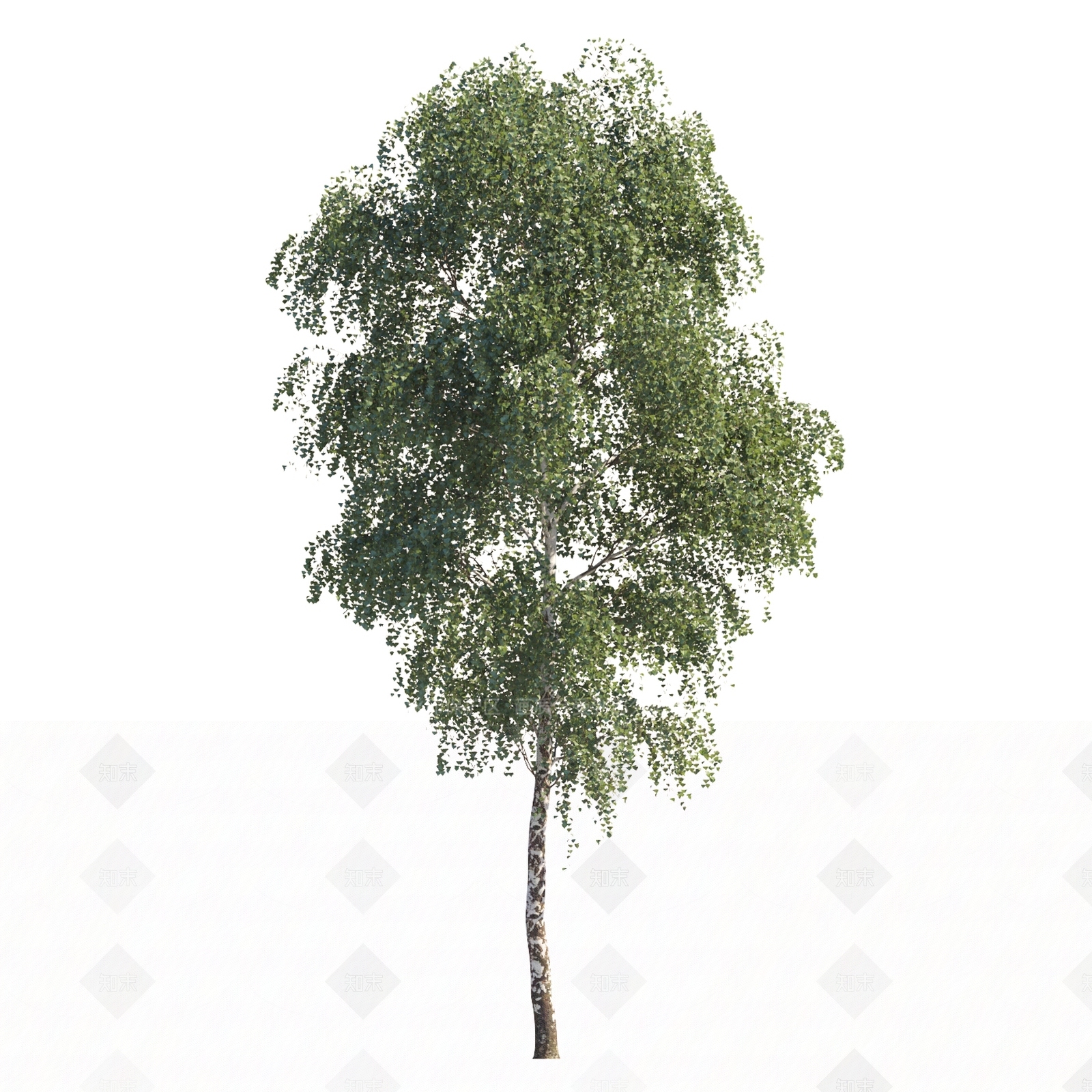现代植物乔木景观树3D模型下载【ID:1151864631】