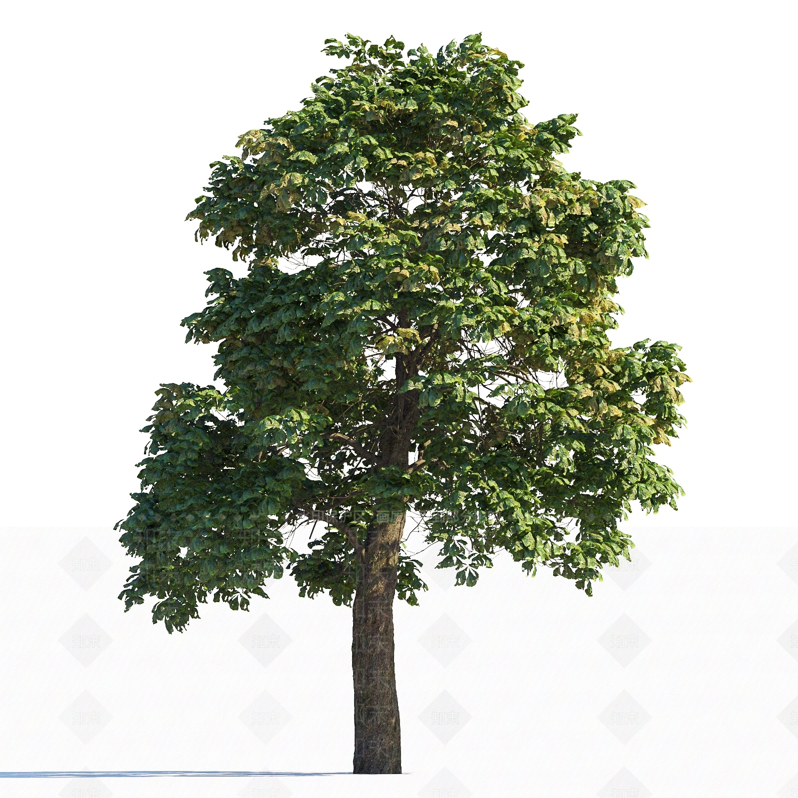 乔木3D模型下载【ID:1151891908】