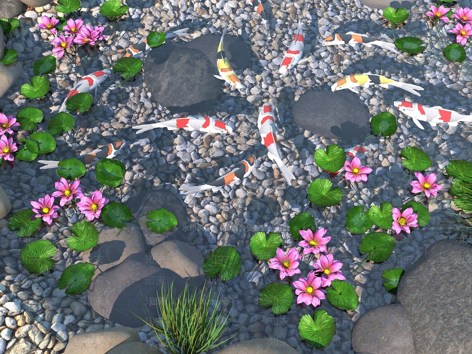 水生类动物3D模型下载【ID:1151892742】