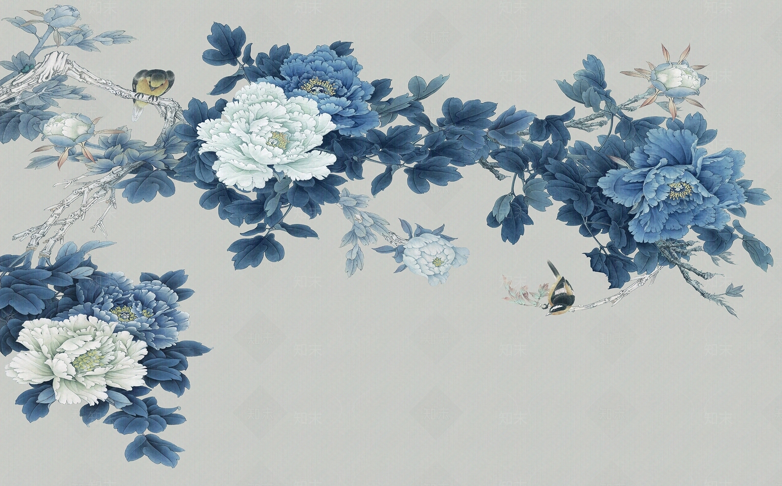 花鸟壁纸高清贴图材质