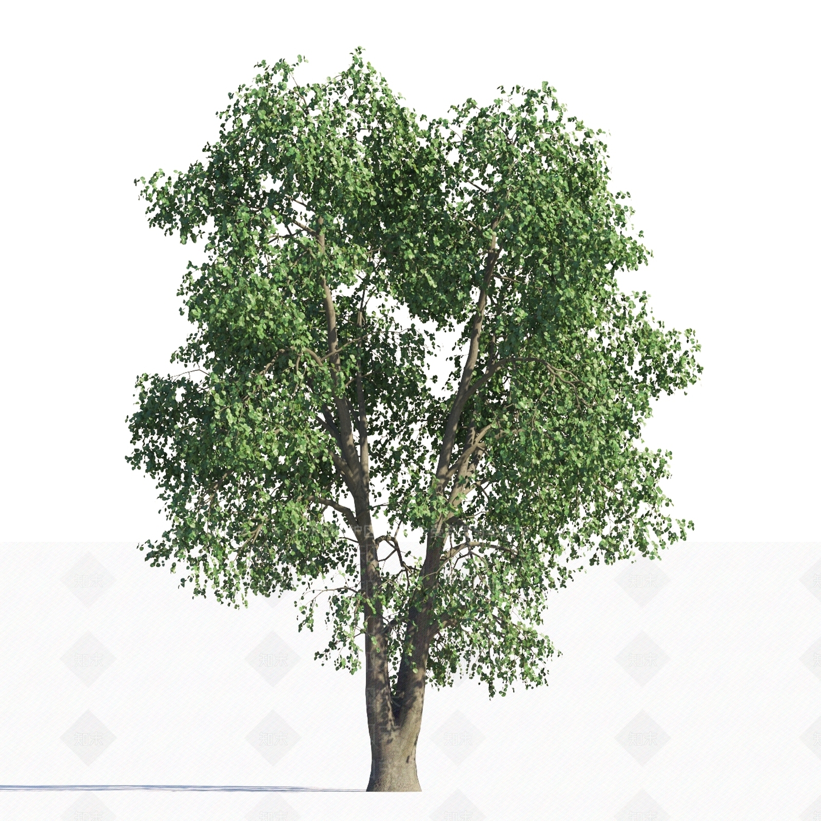 乔木3D模型下载【ID:1151893310】
